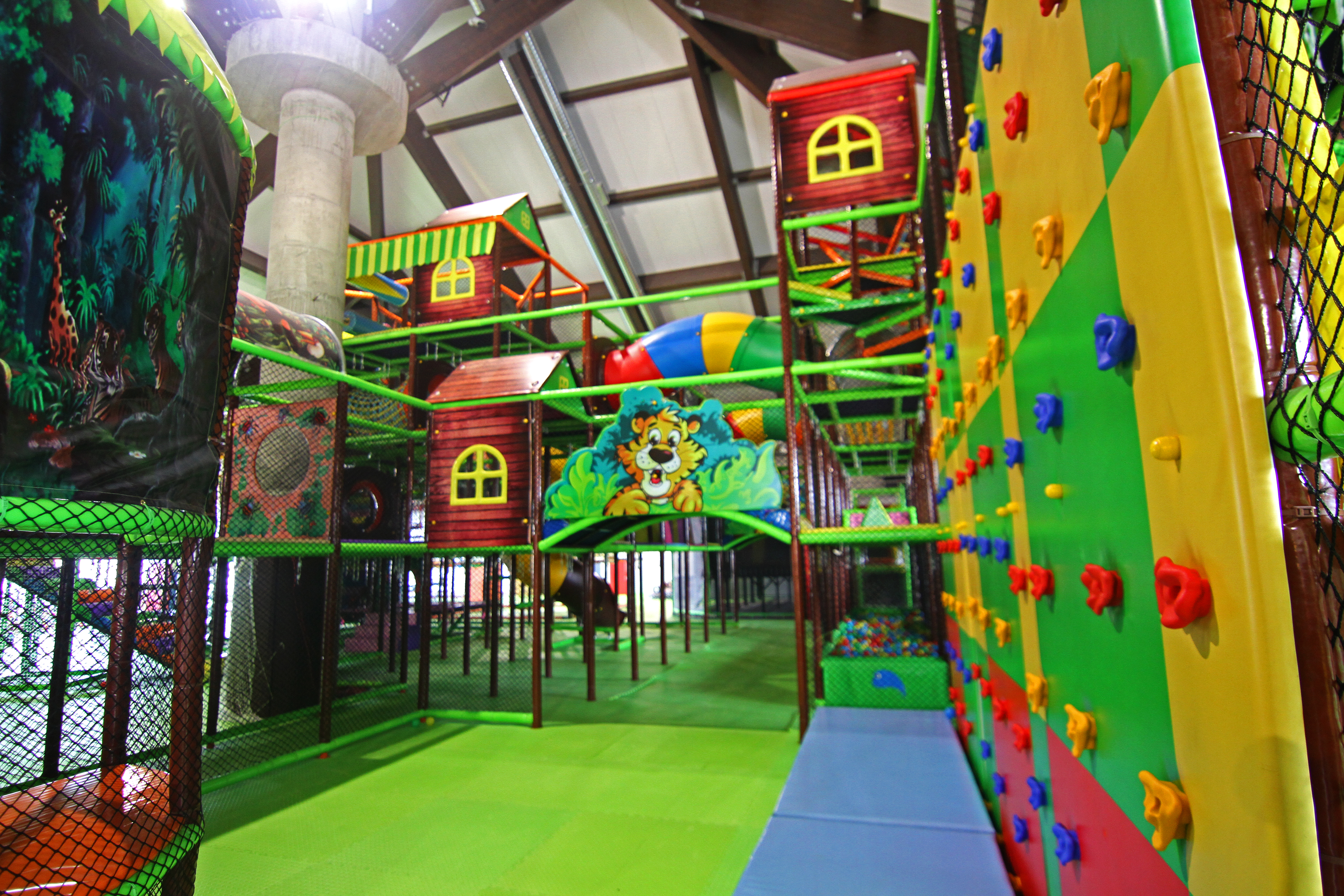 Sports and Entertainment