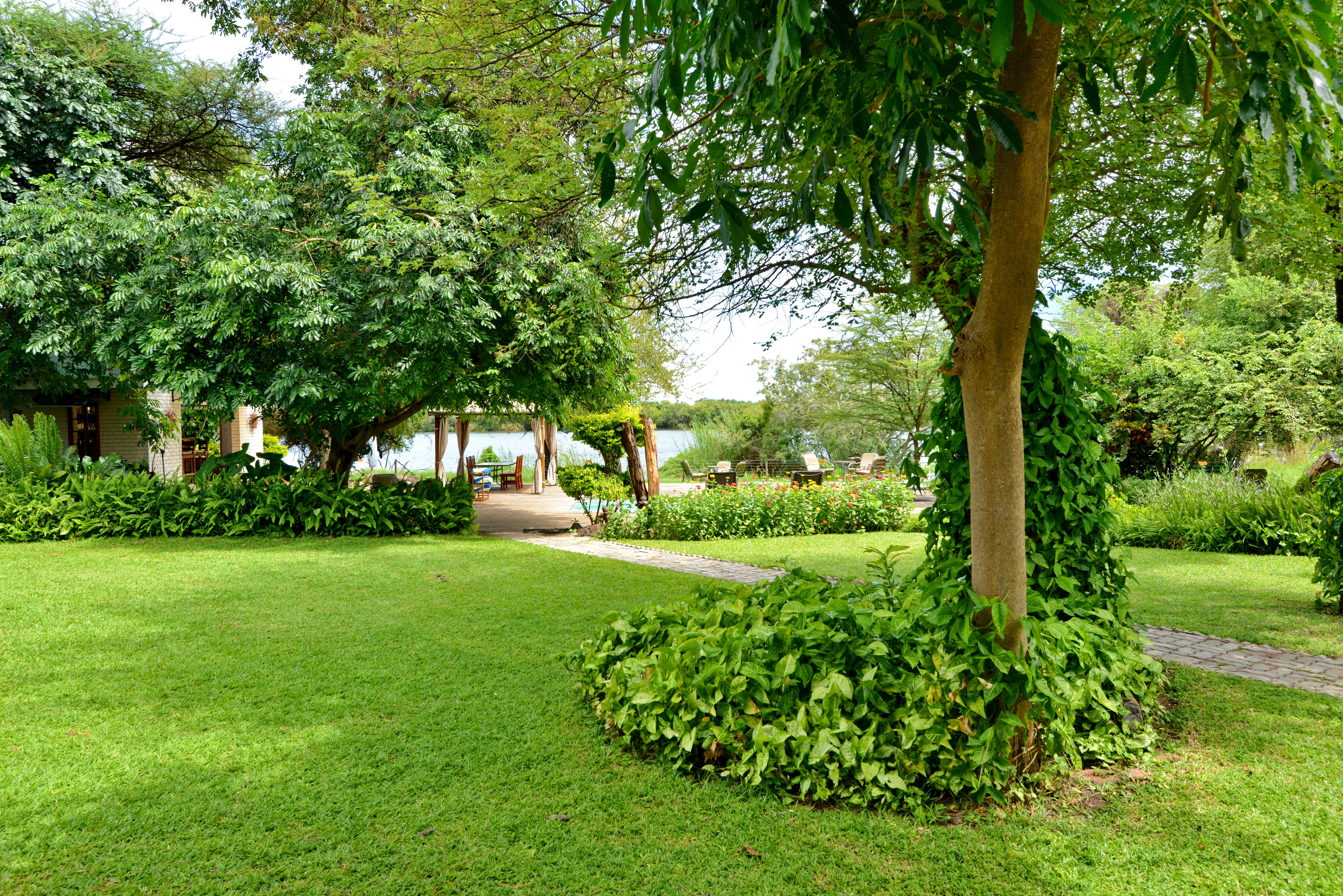 Family Room Standard