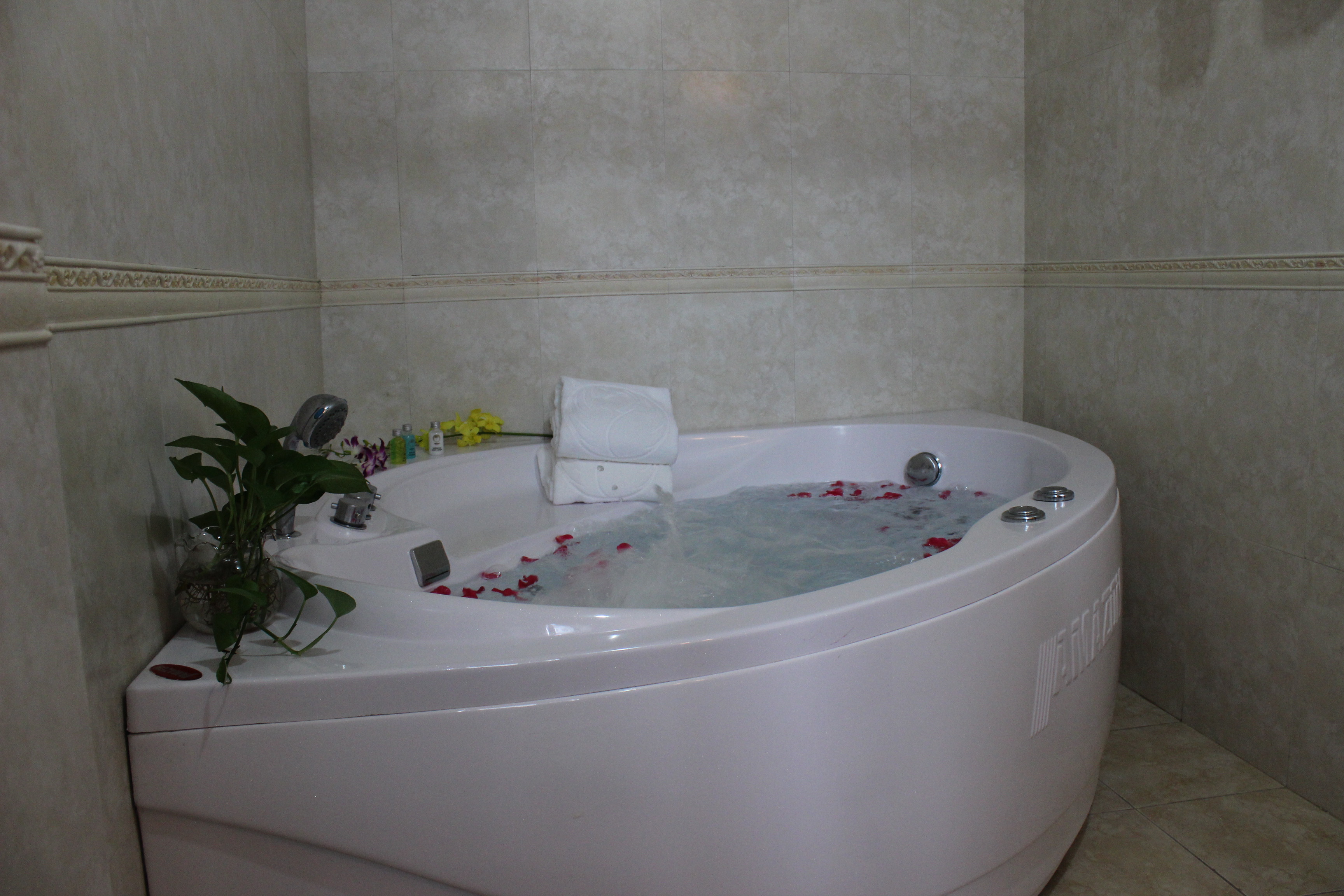 Double or Twin Executive