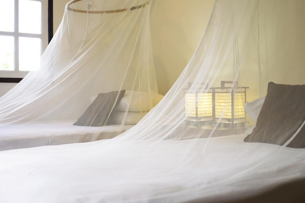 Bungalow Deluxe Lake View