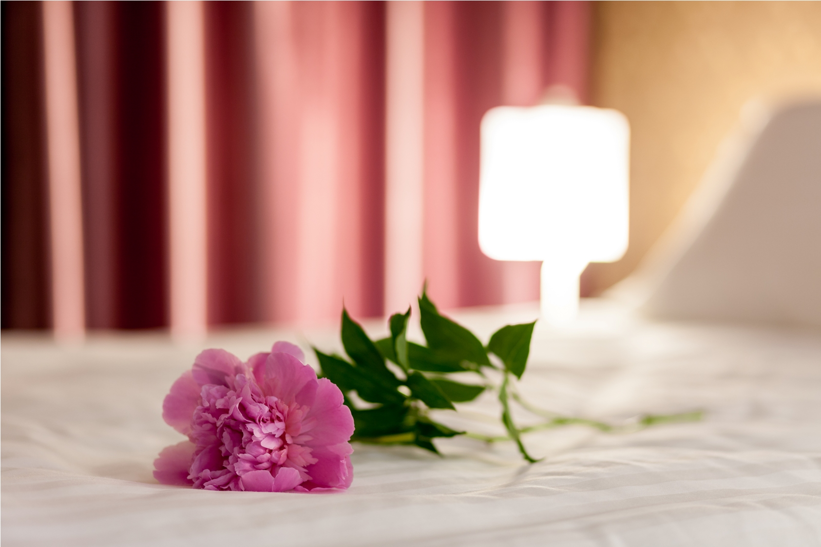 Apartment Capacity 2 One Bedroom