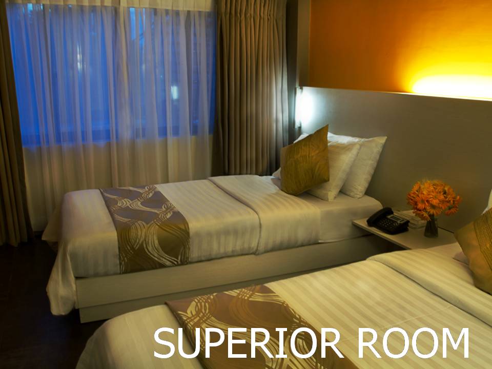 Double or Twin Superior