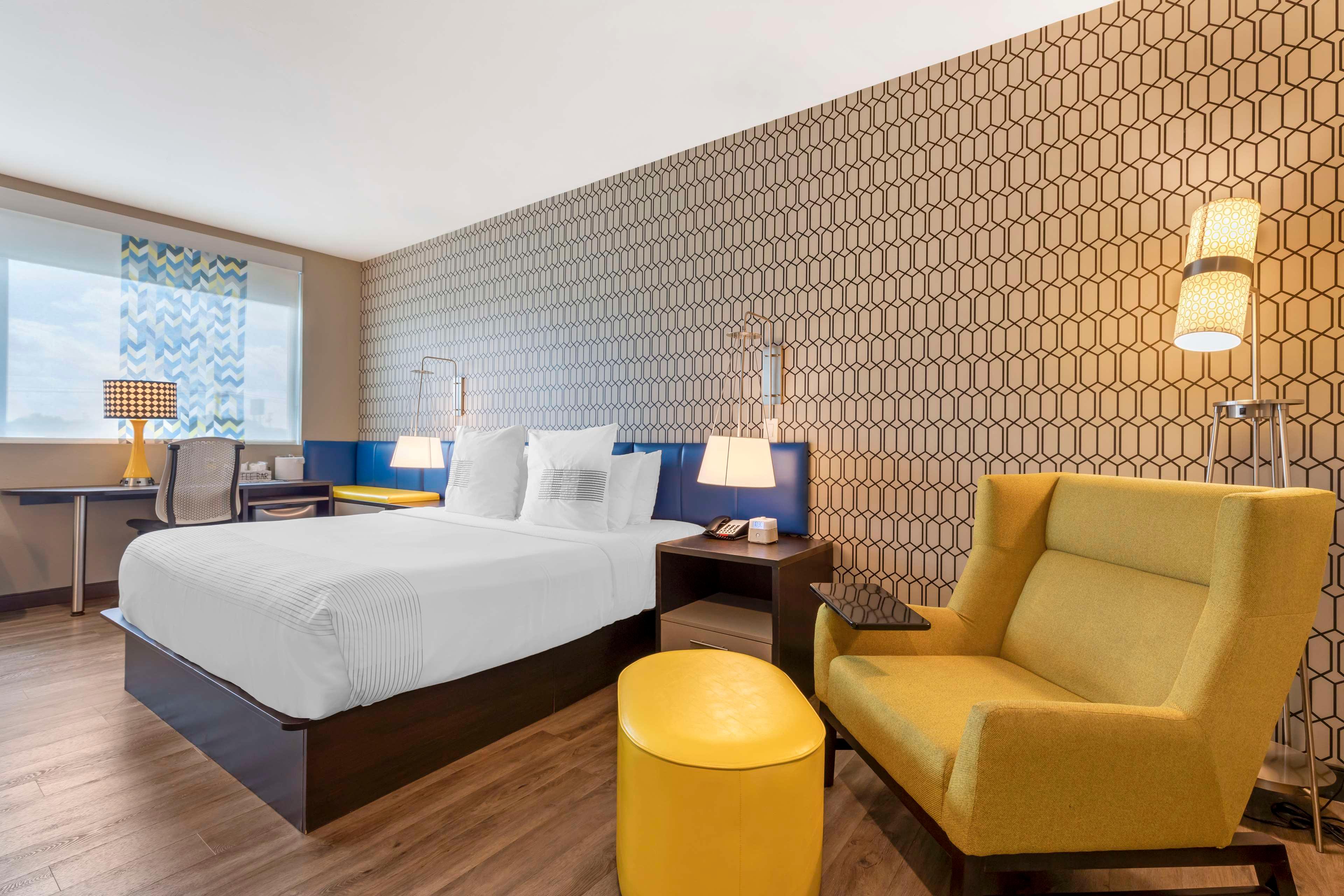 Double King Bed Non Smoking