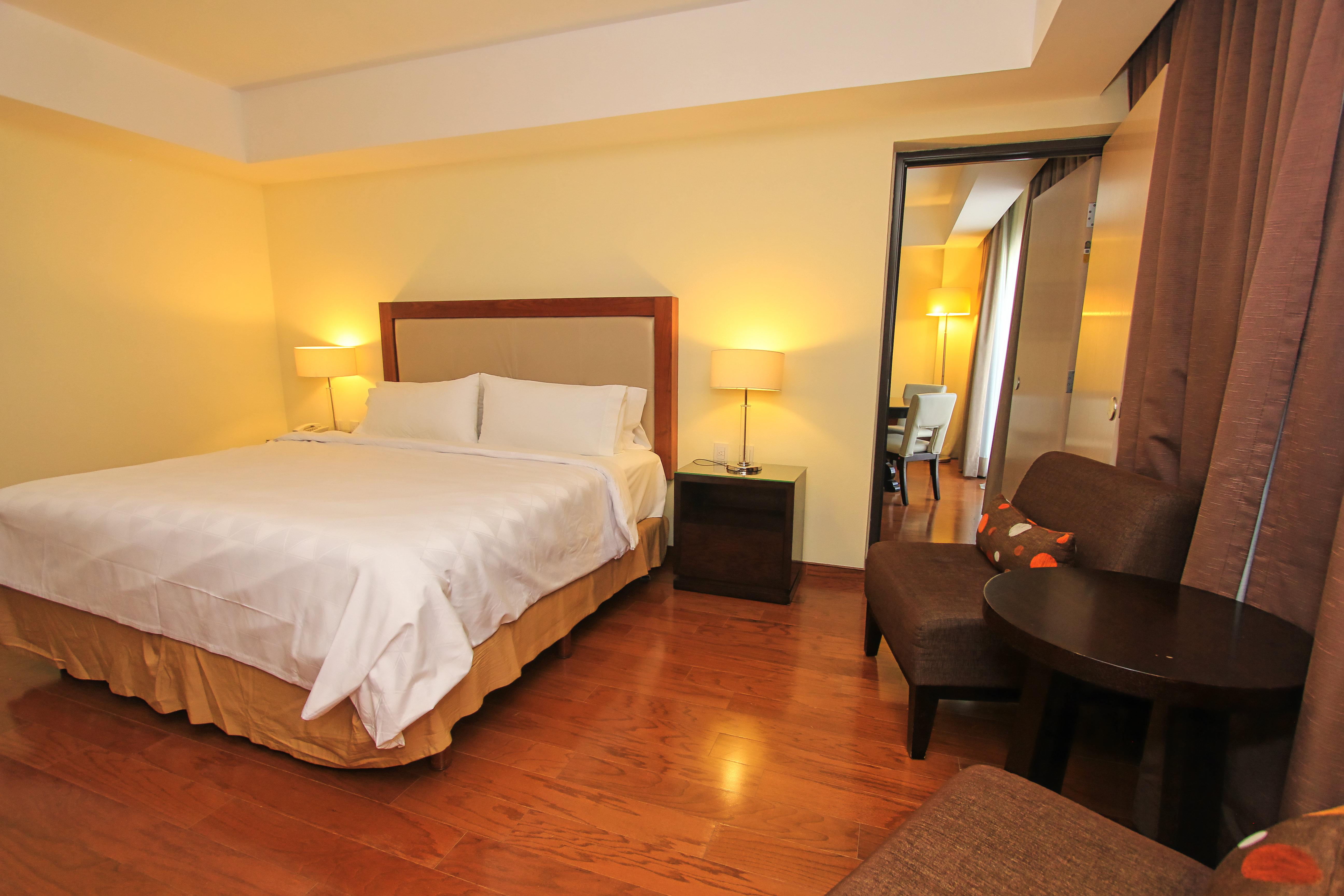 Suite King Bed One Bedroom 