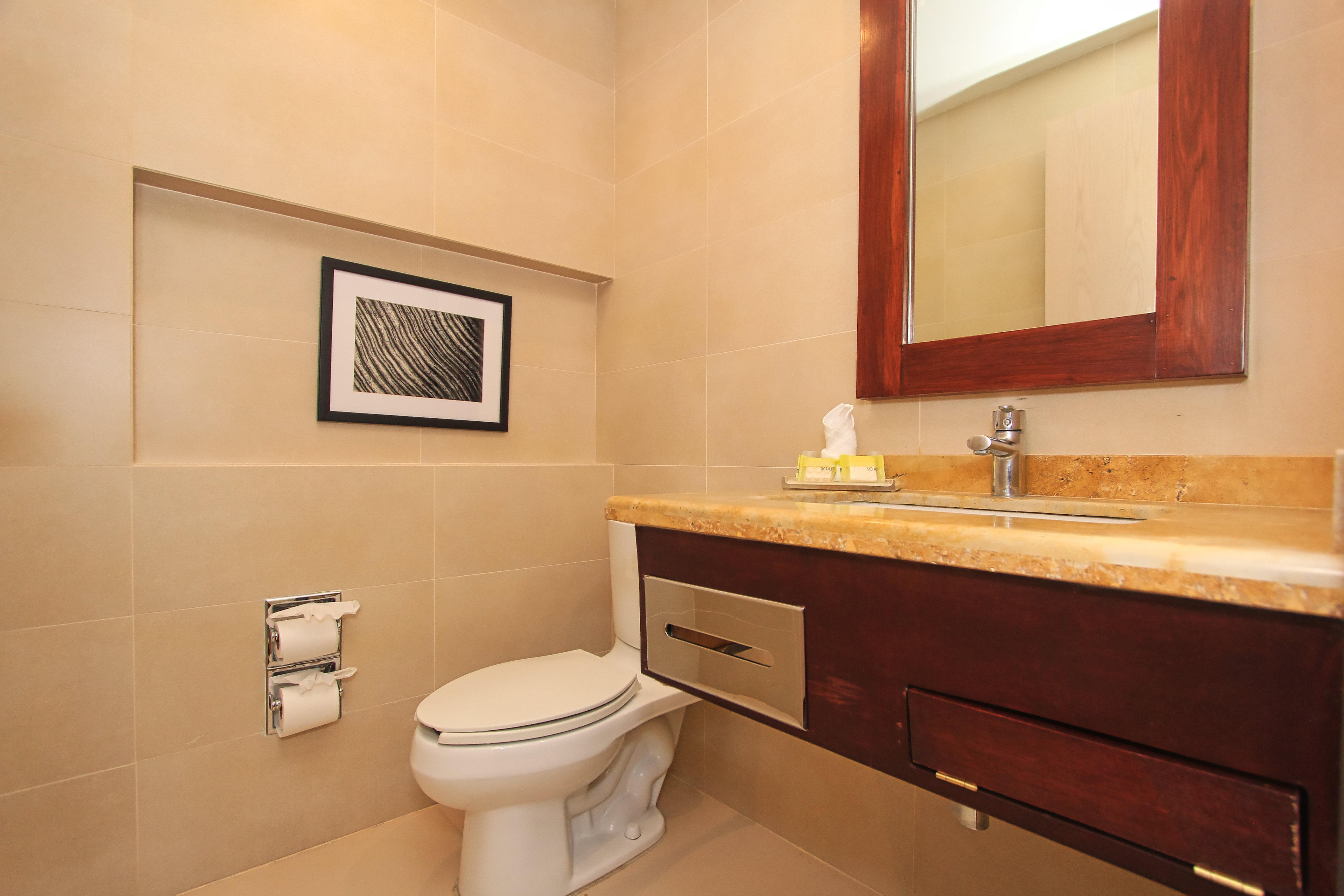 Suite King Bed One Bedroom 