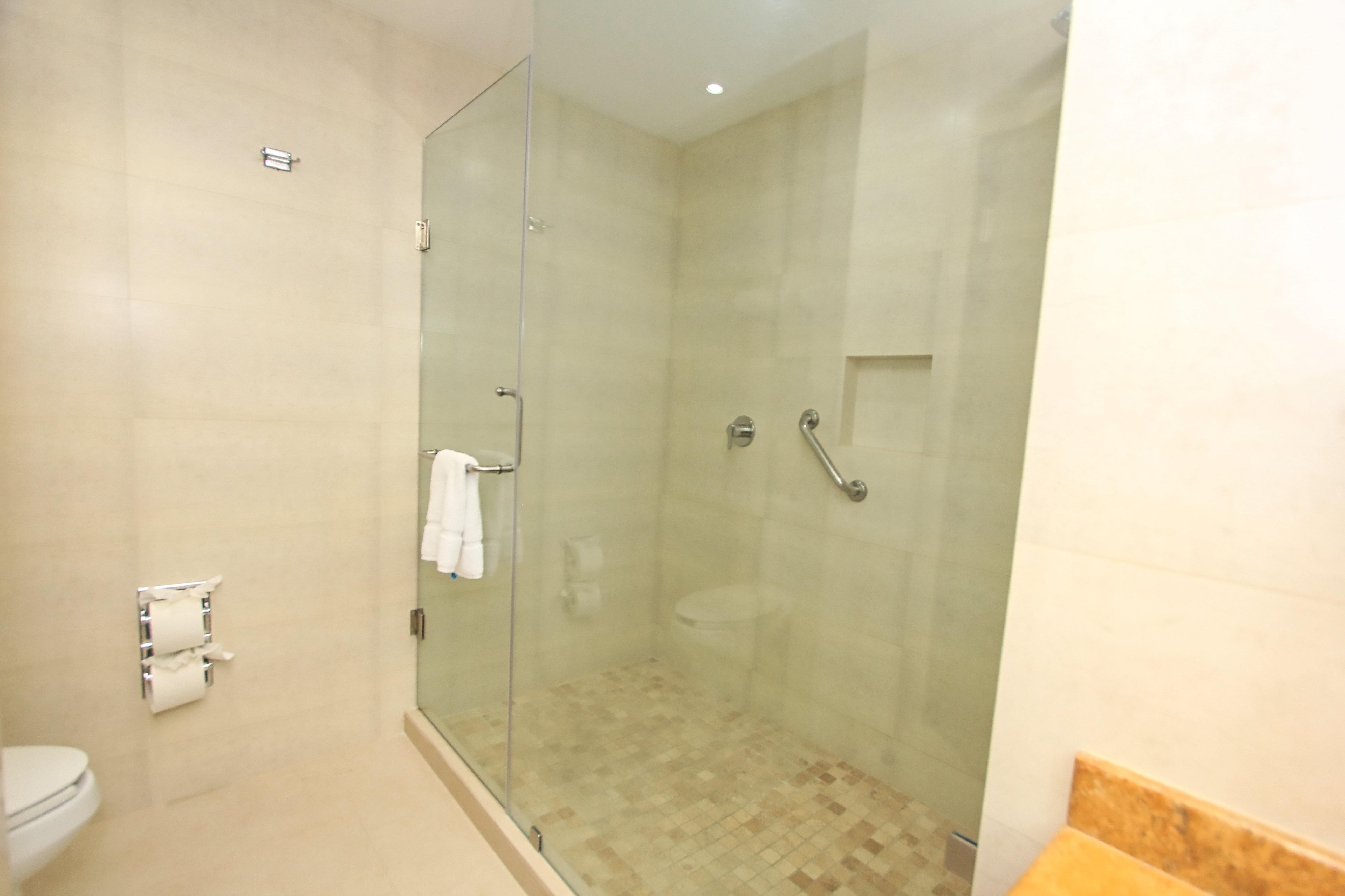 Suite King Bed One Bedroom 