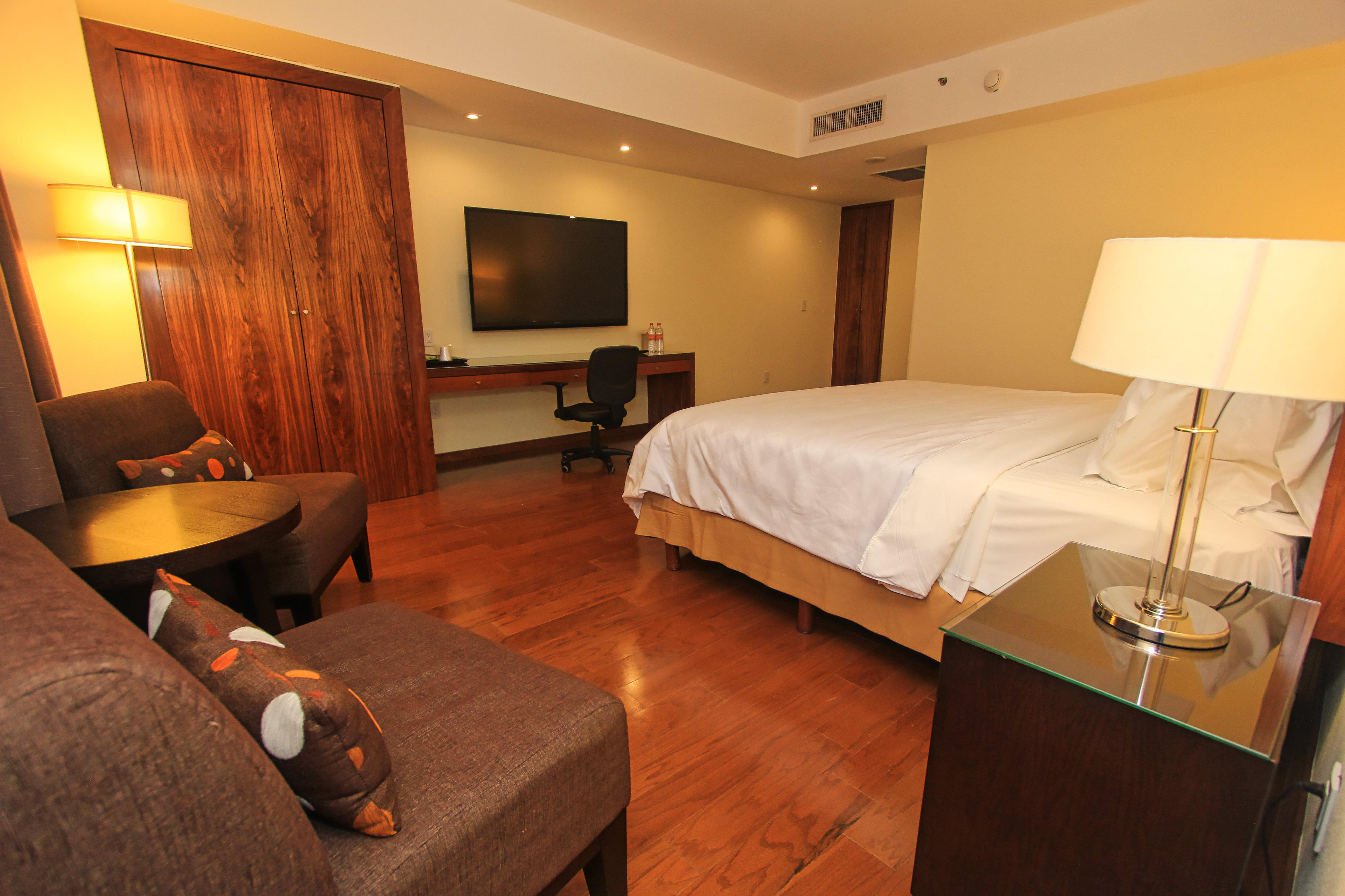 Suite King Bed One Bedroom 