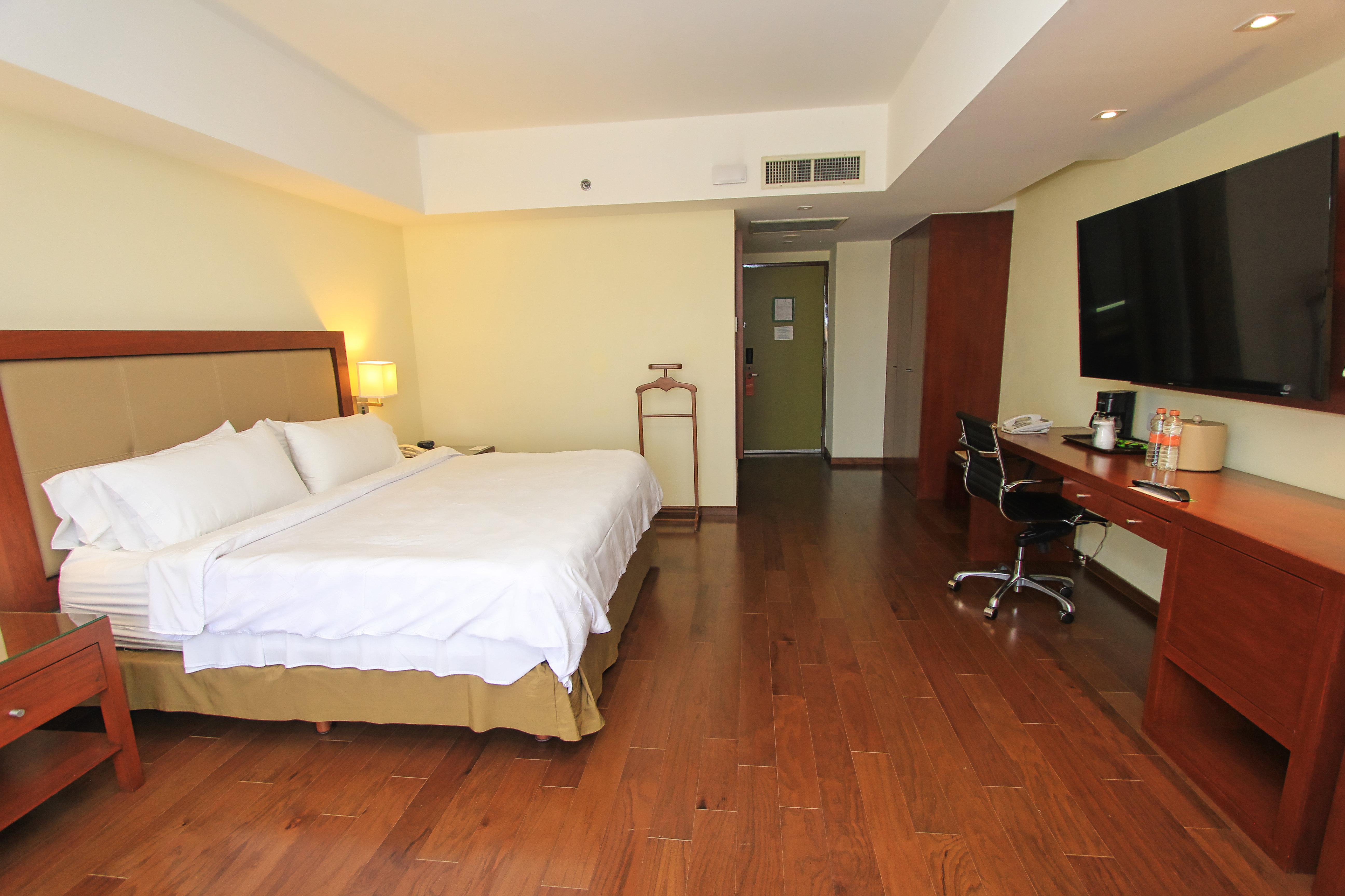 Suite King Bed One Bedroom 