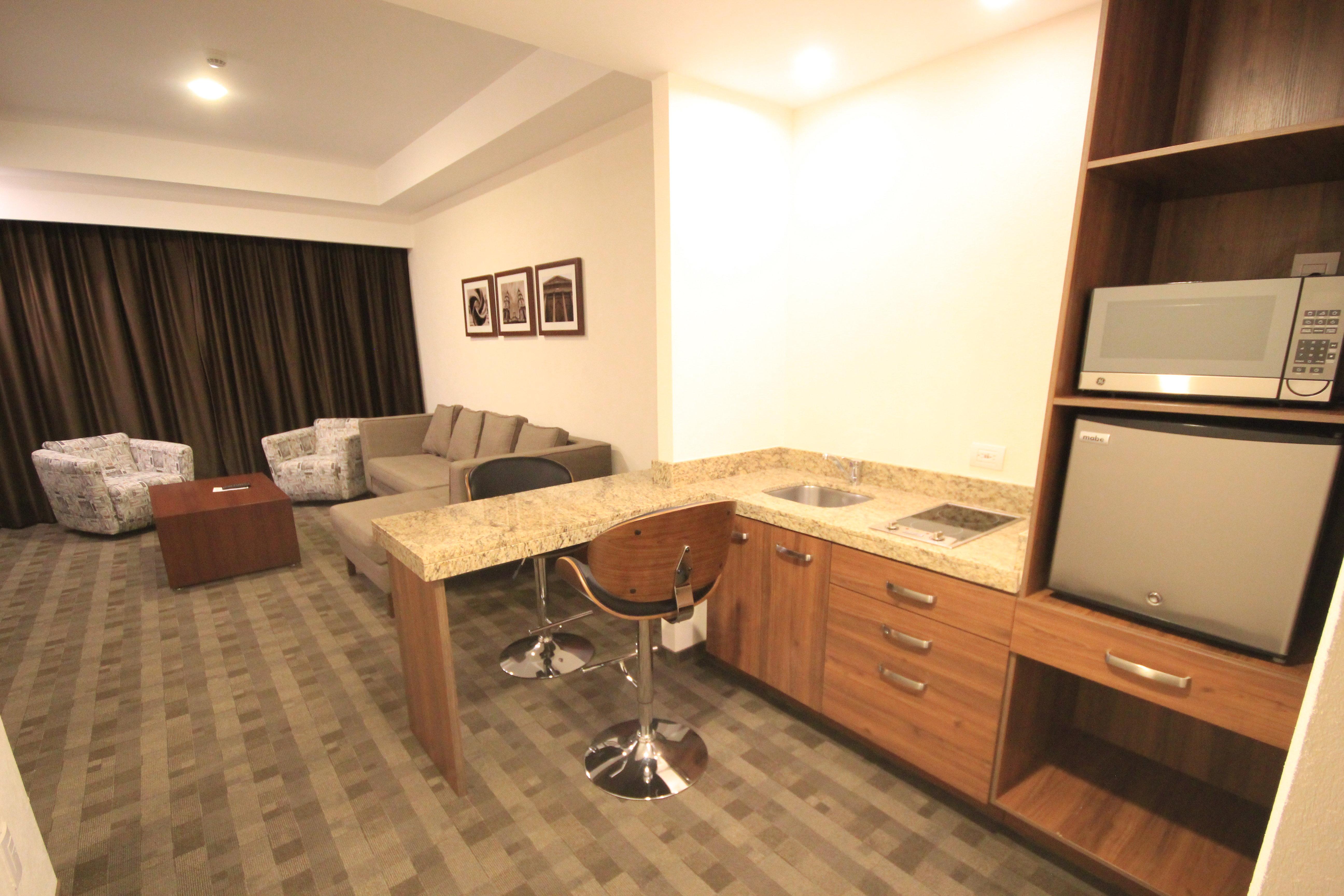 Suite King Bed One Bedroom 