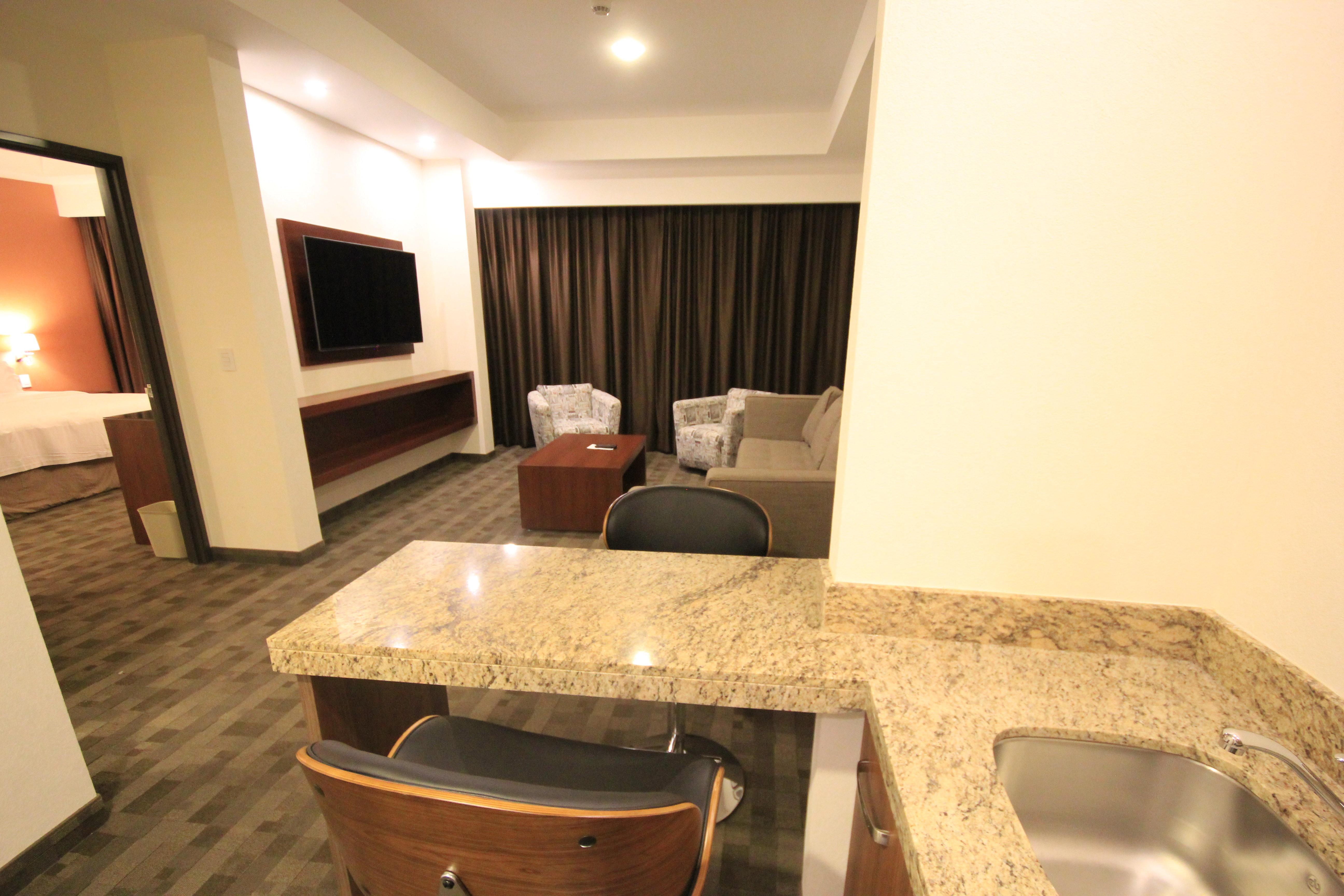 Suite King Bed One Bedroom 