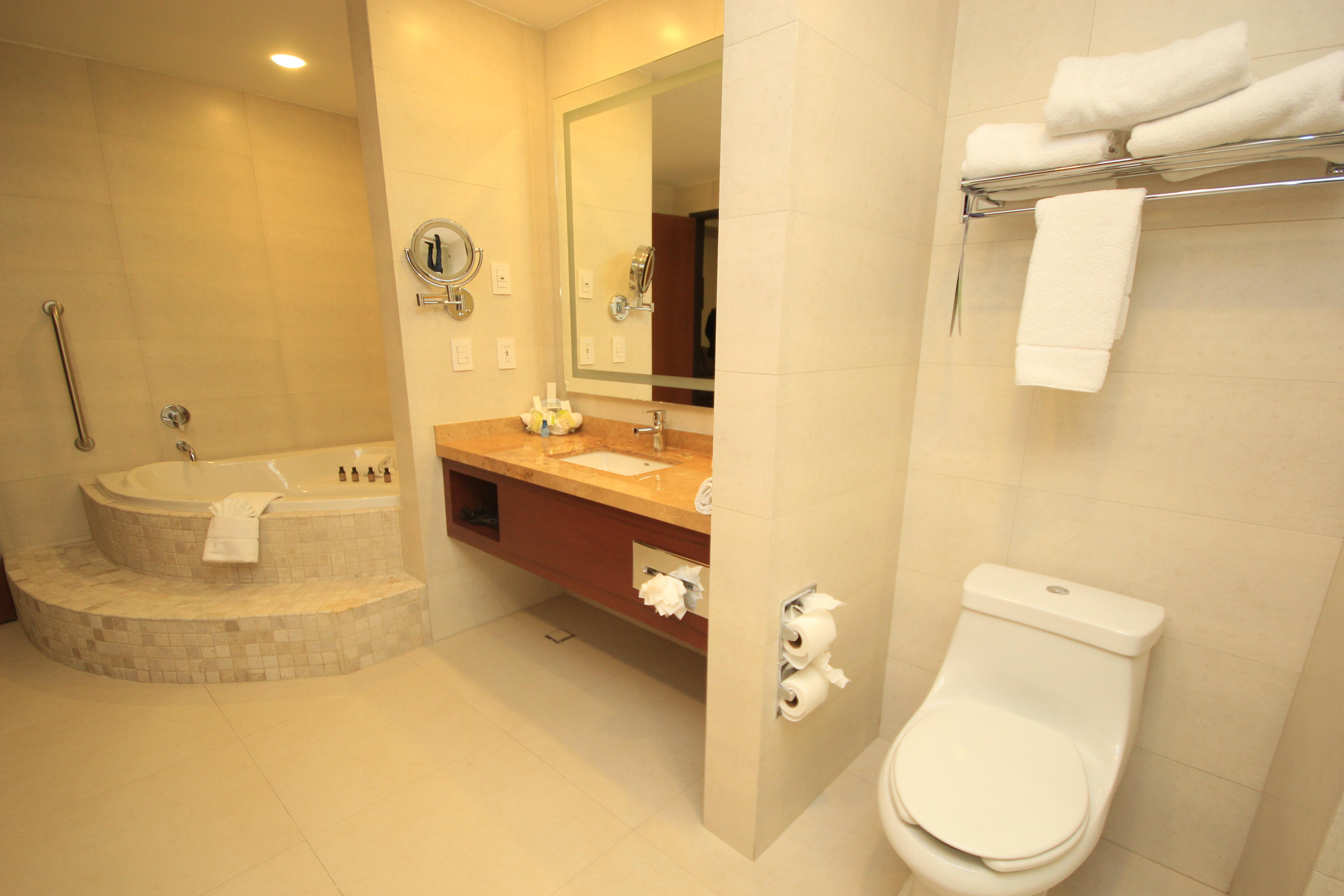 Suite King Bed One Bedroom 