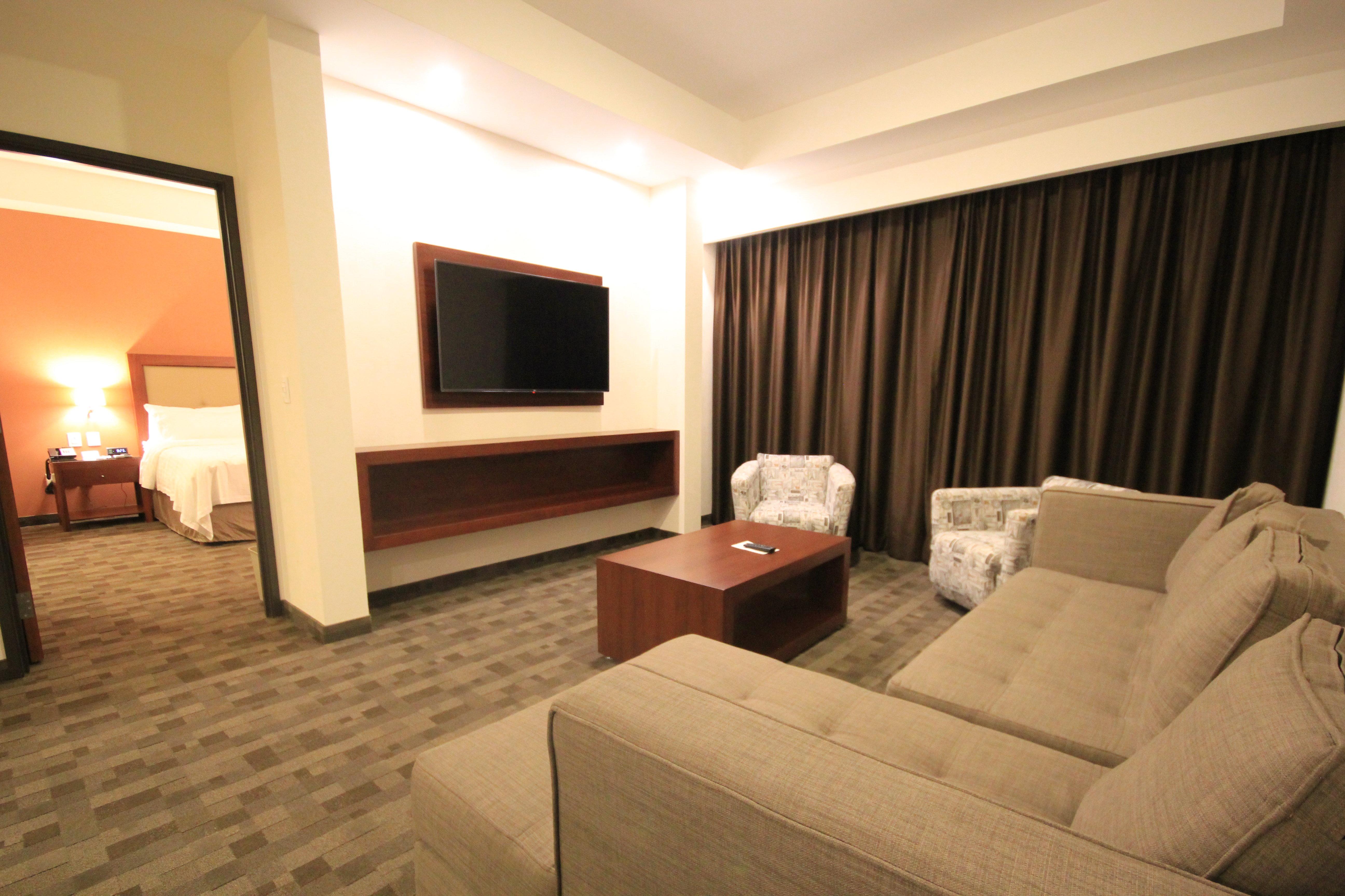 Suite King Bed One Bedroom 