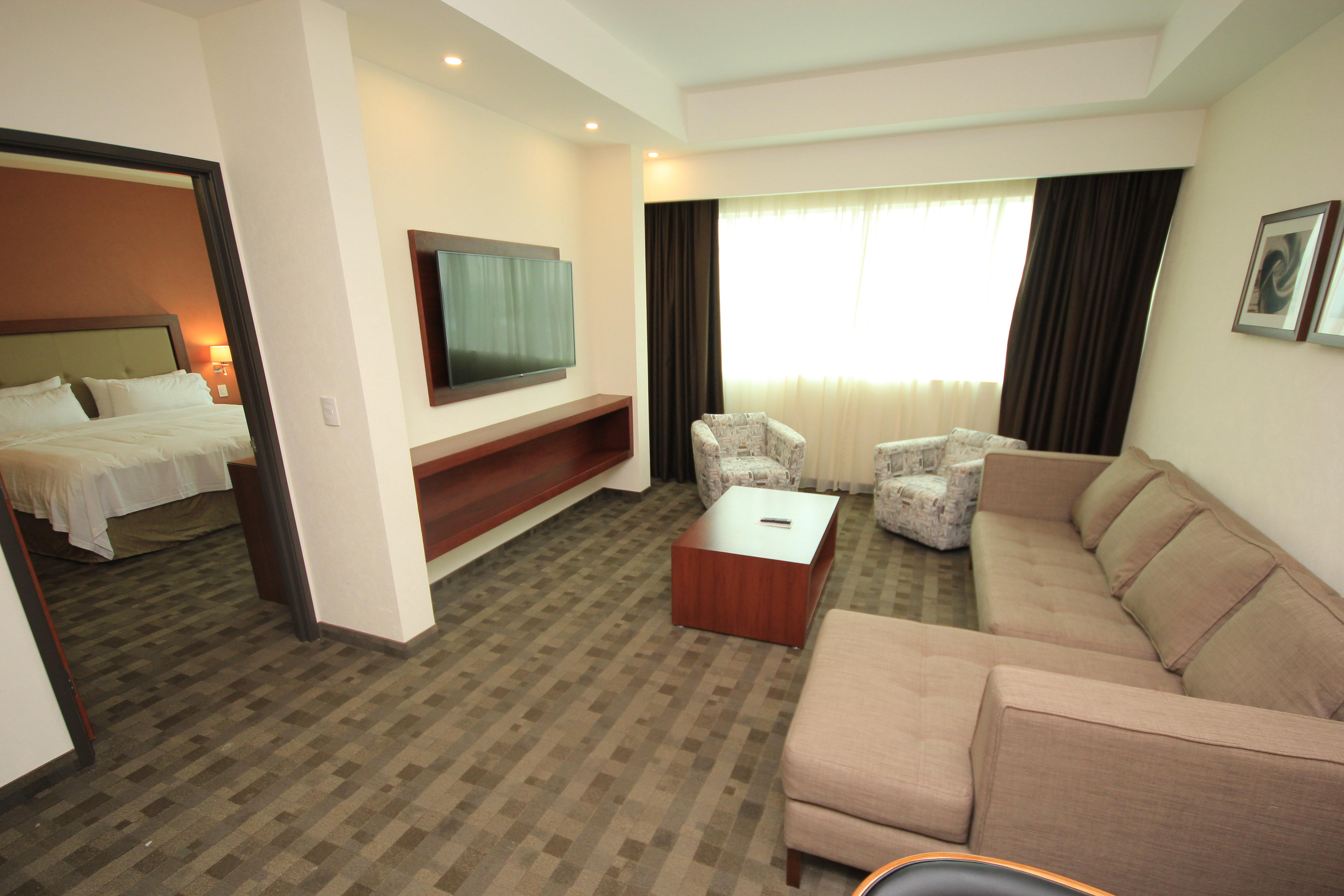 Suite King Bed One Bedroom 