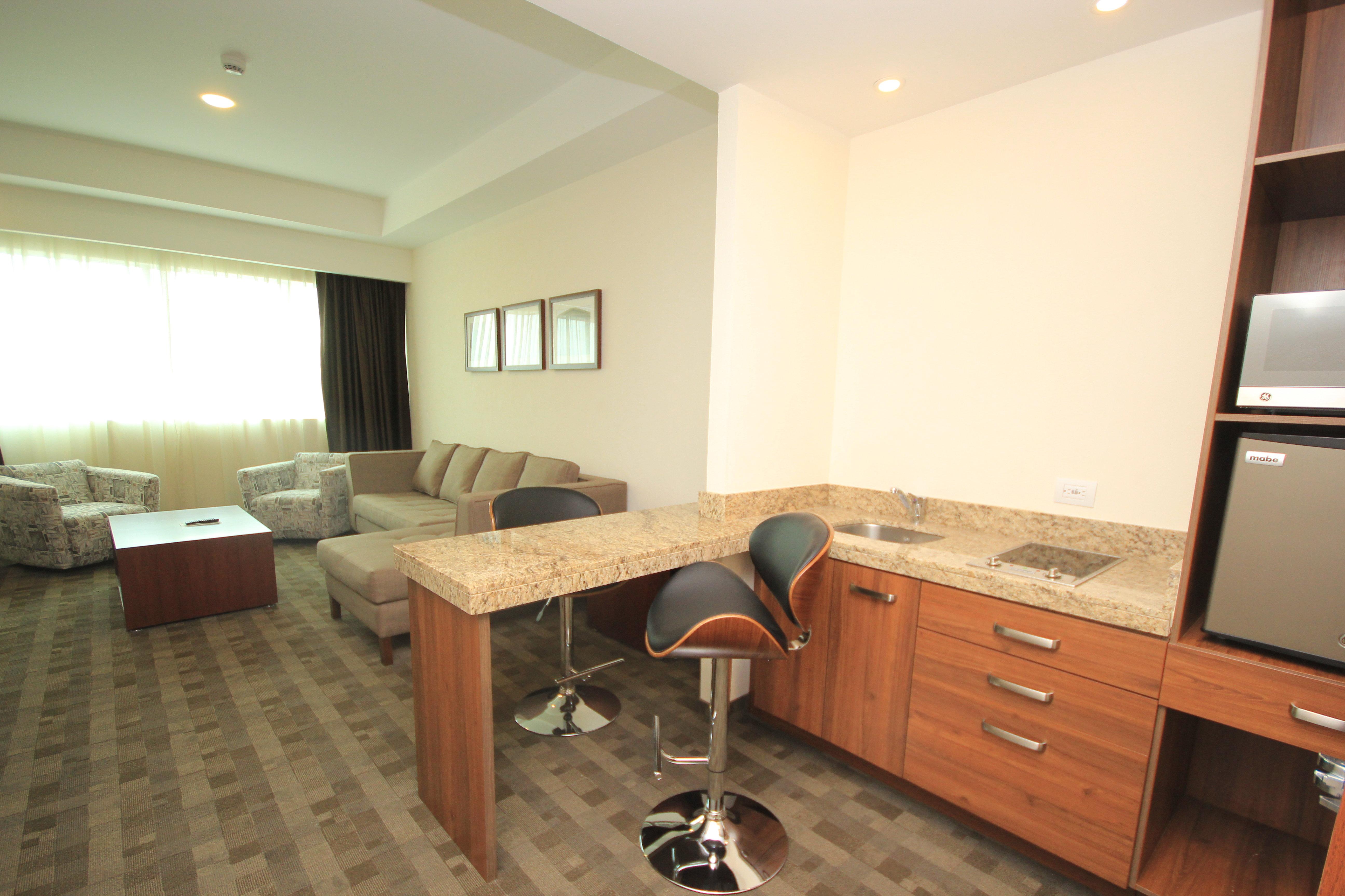 Suite King Bed One Bedroom 