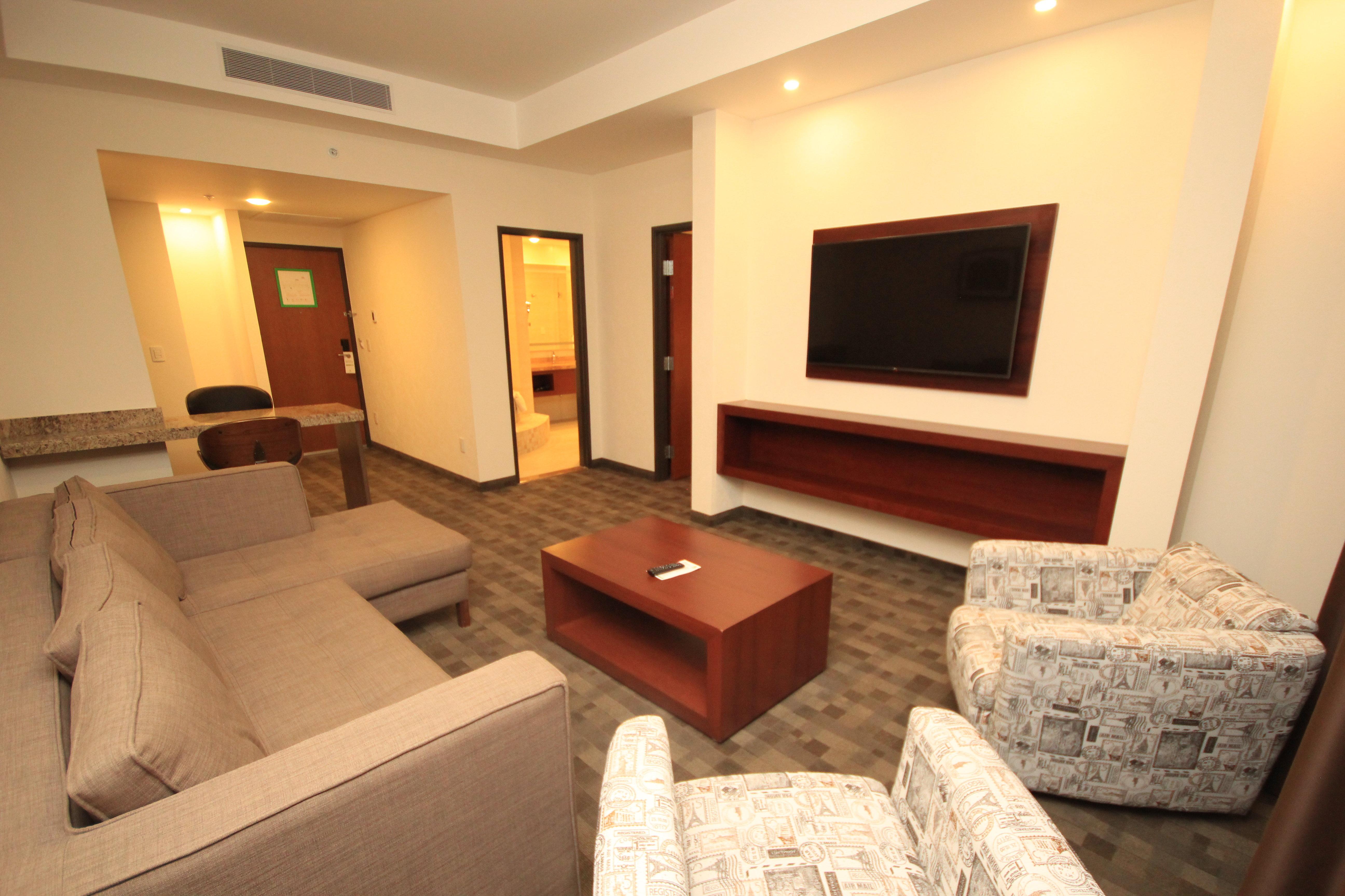 Suite King Bed One Bedroom 