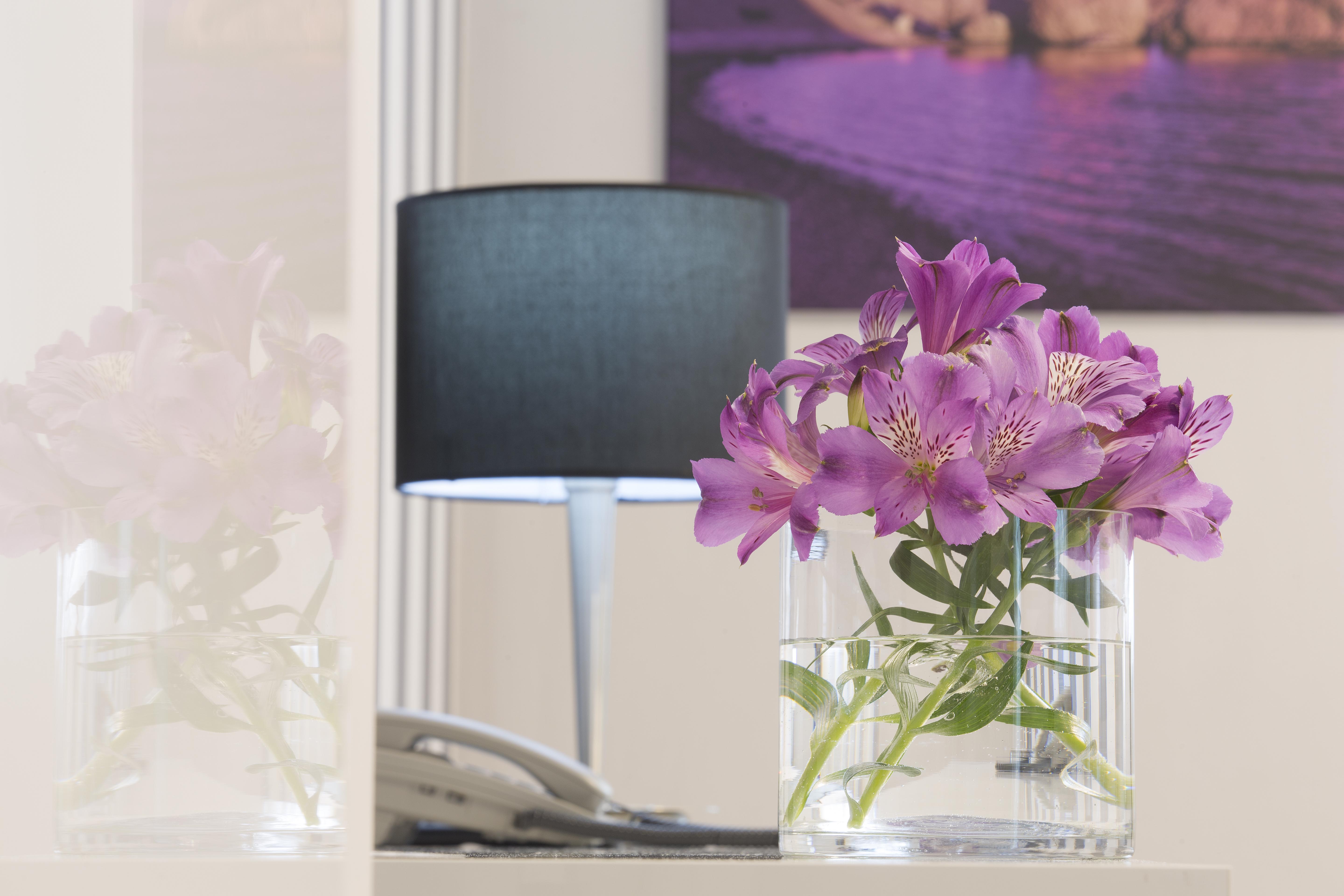 Double or Twin Superior with Terrace