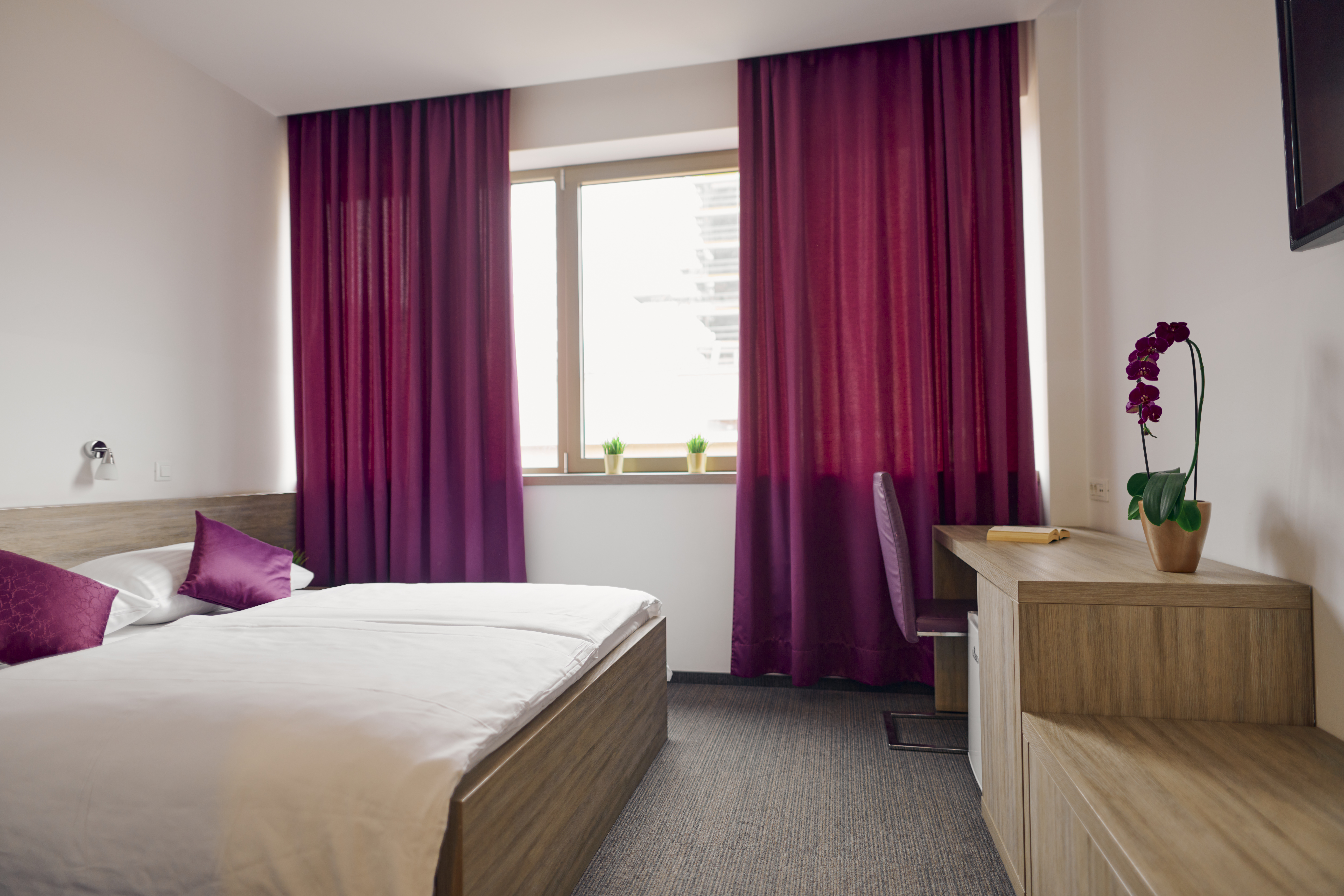 Double or Twin Comfort