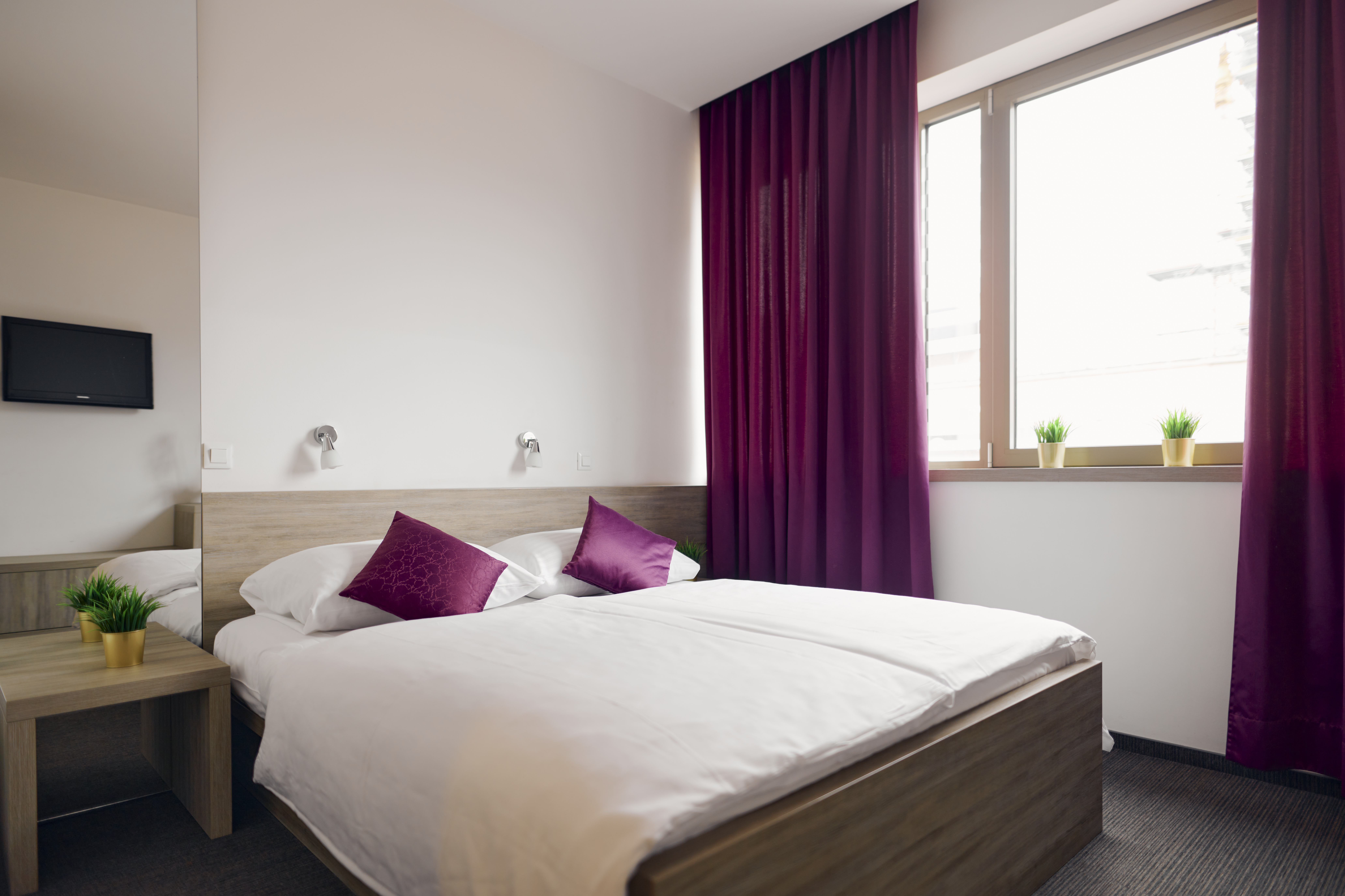 Double or Twin Comfort