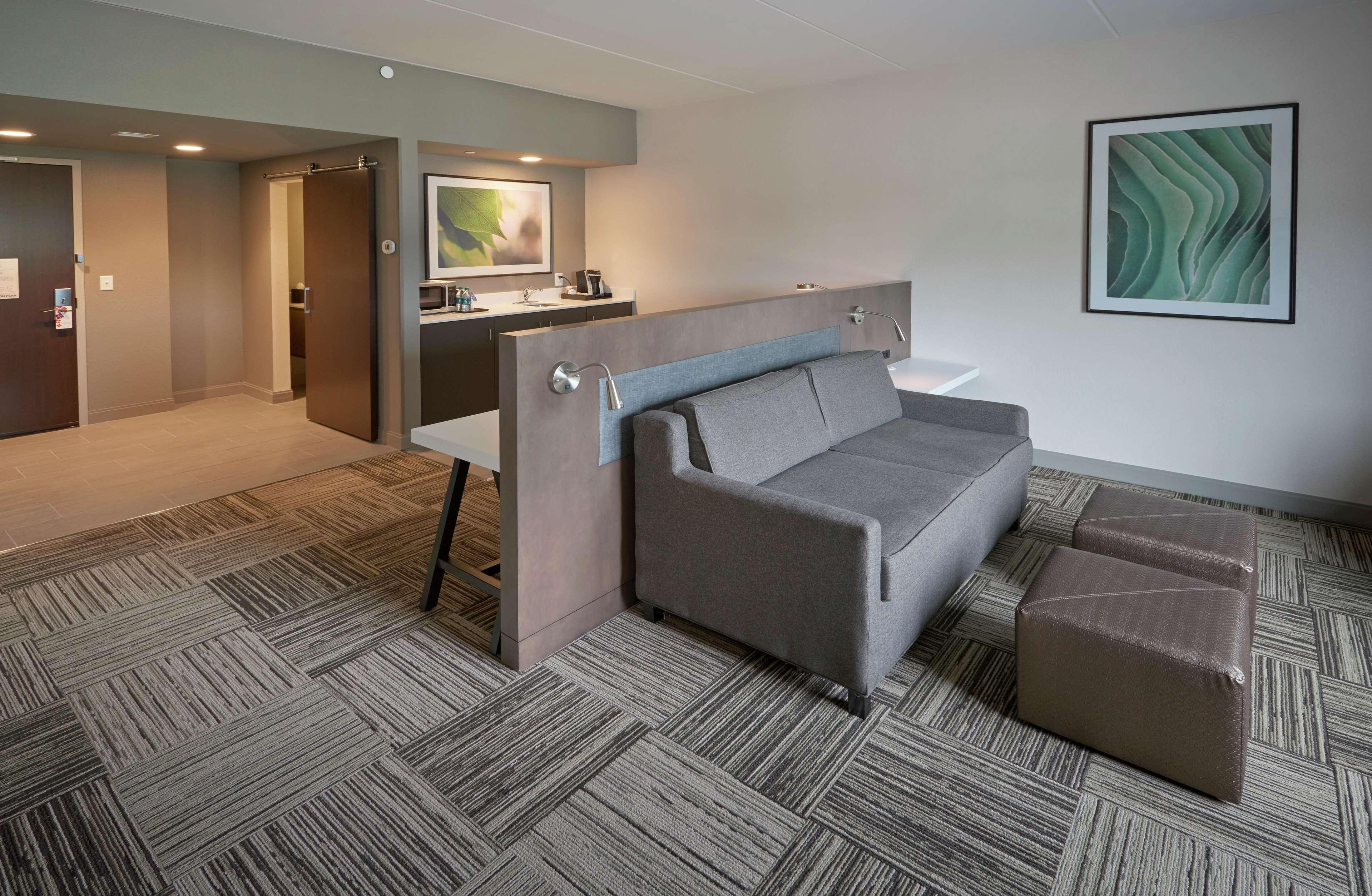 Suite King Bed One Bedroom 