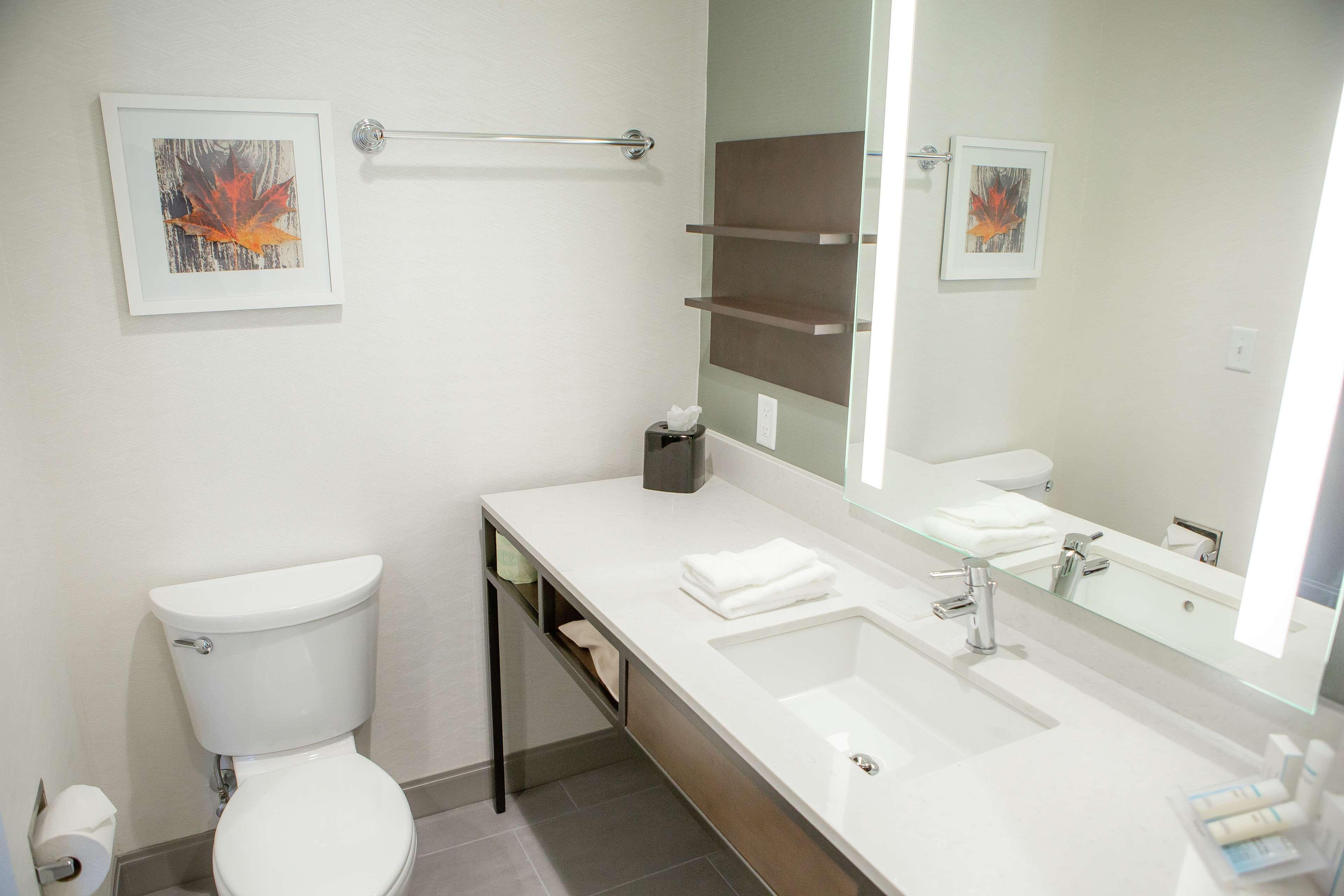 Double Two Queen Beds