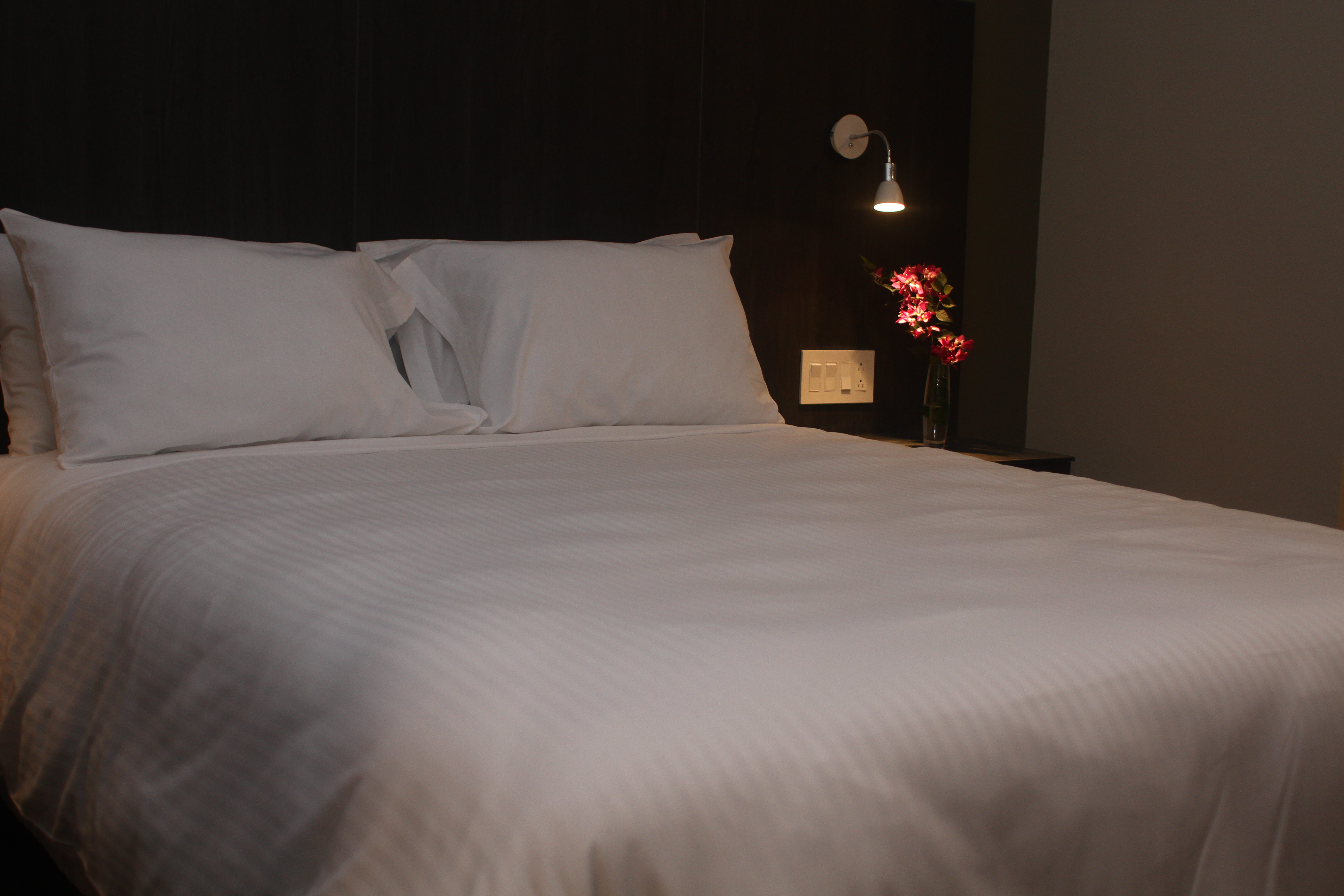 Single Deluxe Queen Bed