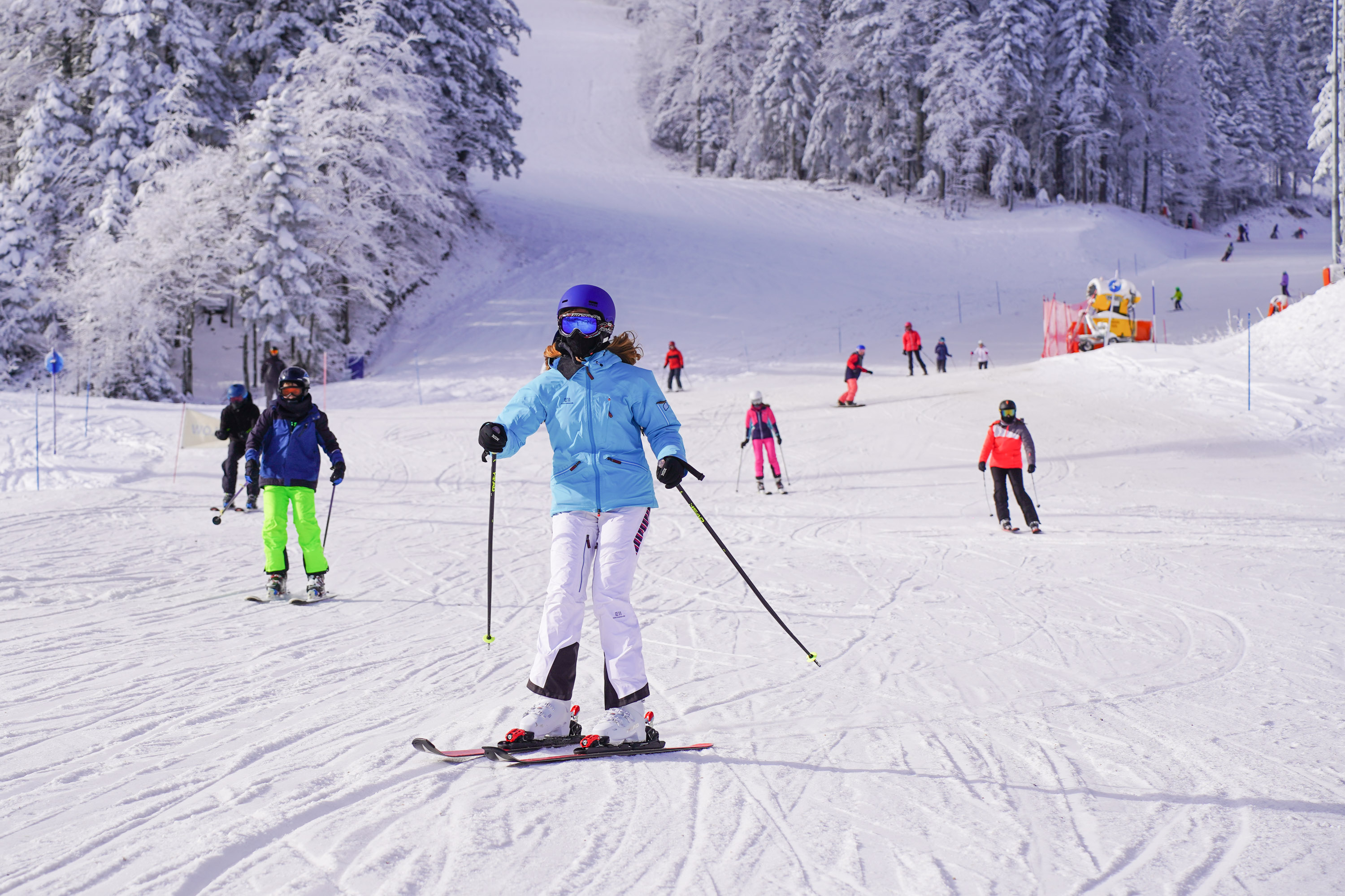 Sports and Entertainment