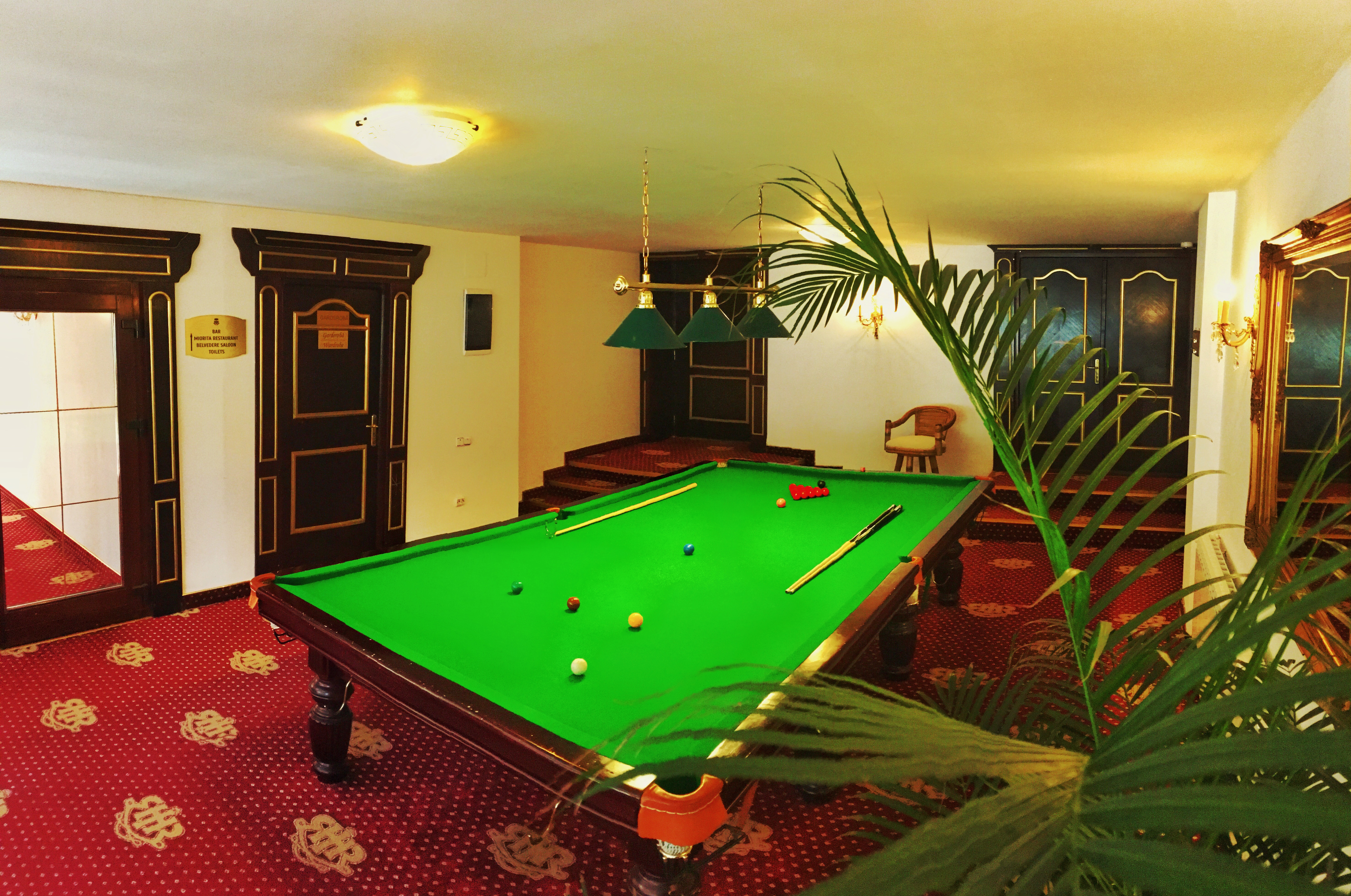 Sports and Entertainment