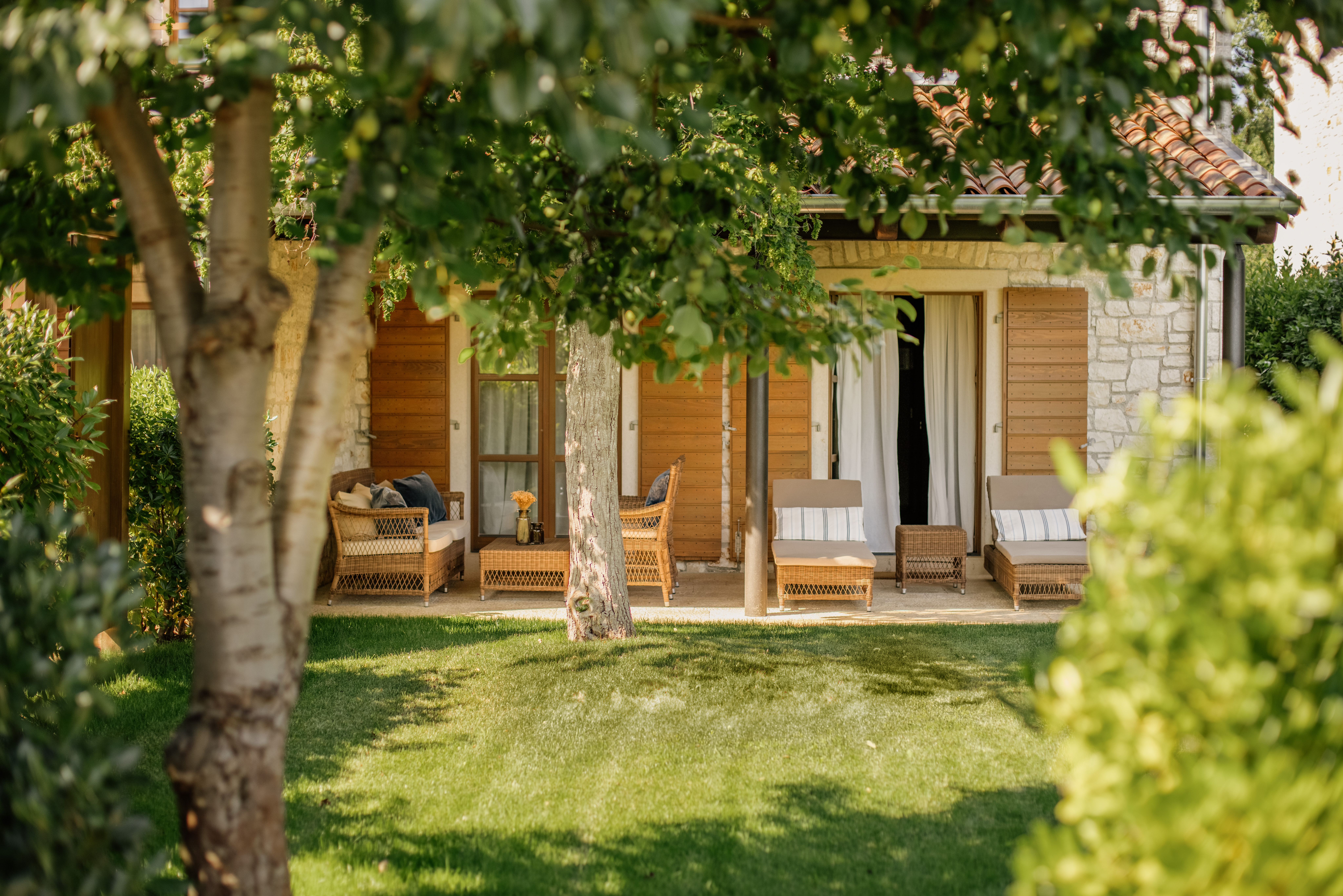 Apartment One Bedroom