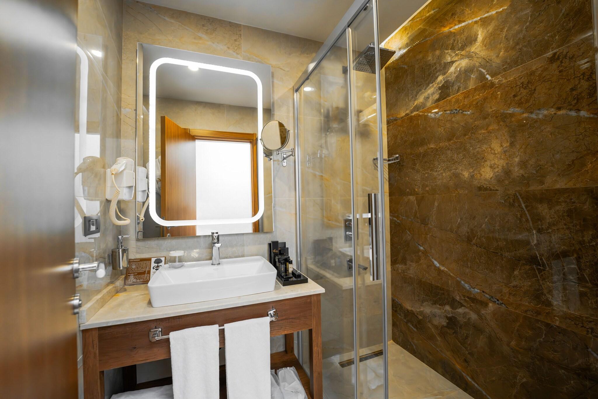 Family Room Queen Bed Smoking