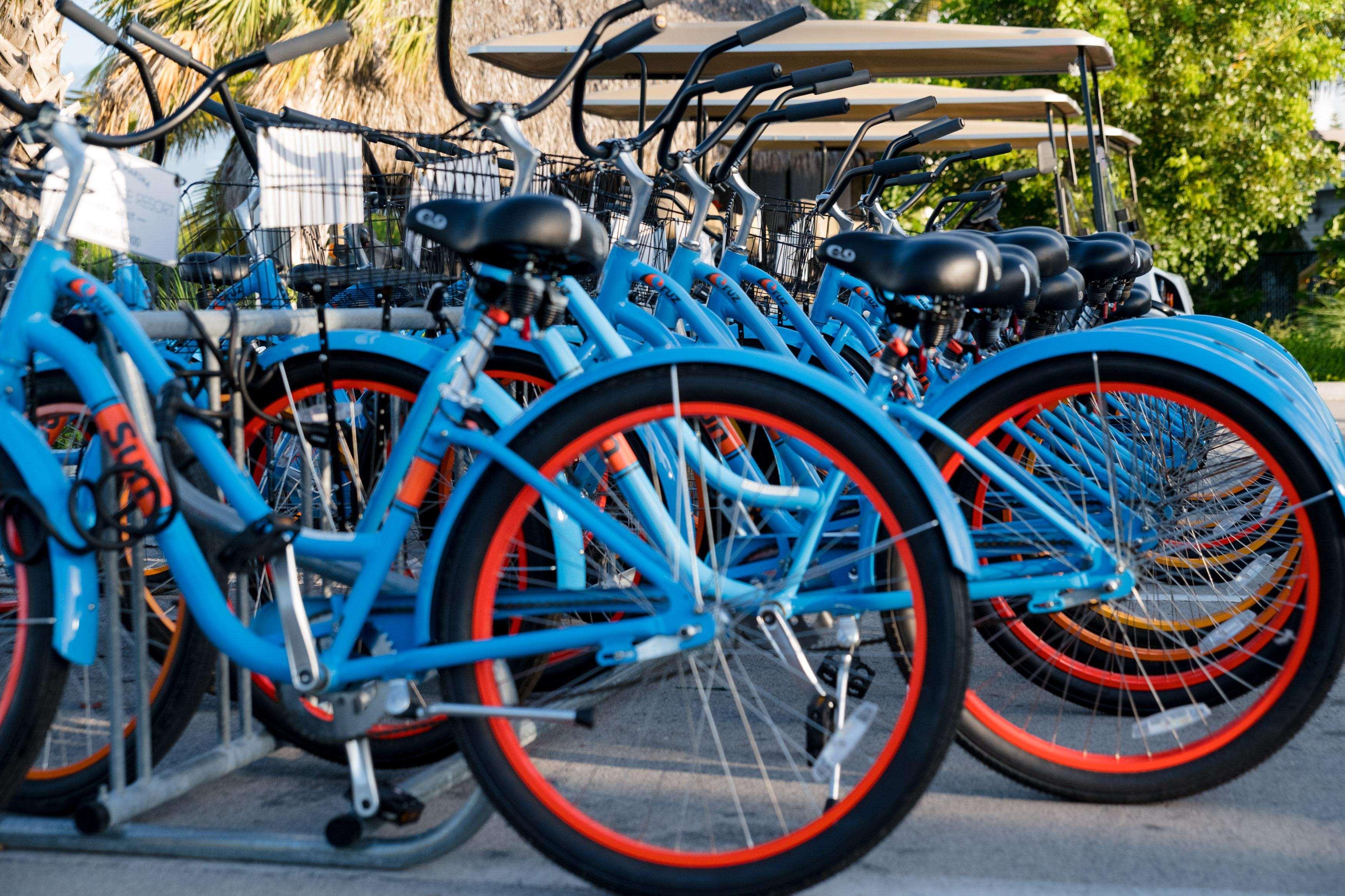 Double Partial Ocean View