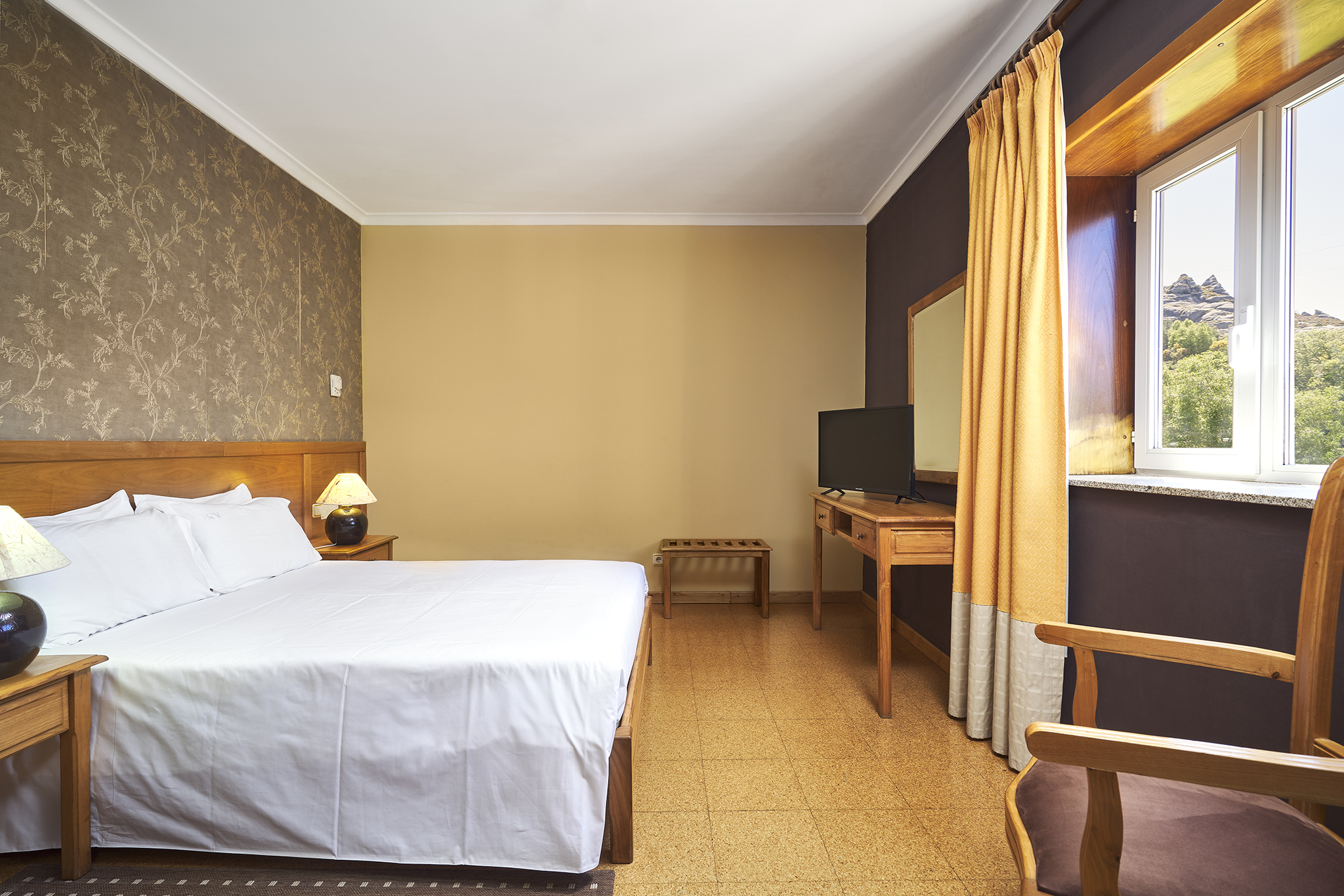 Double Mountain View