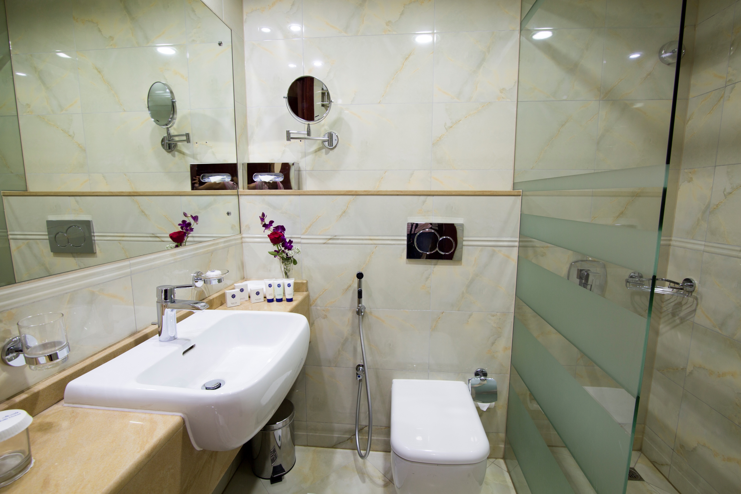 Double or Twin Standard