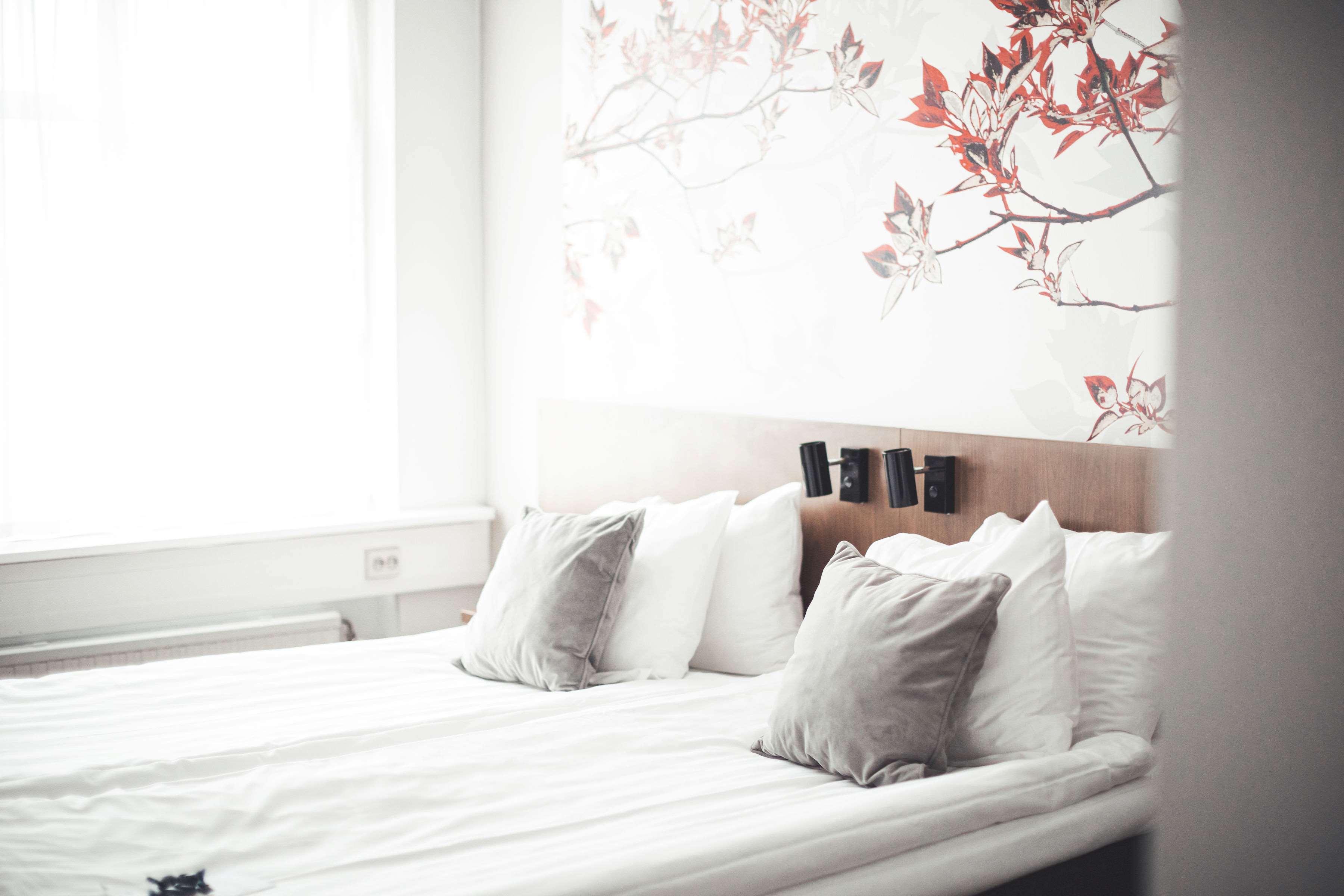 Family Room Bunk Bed