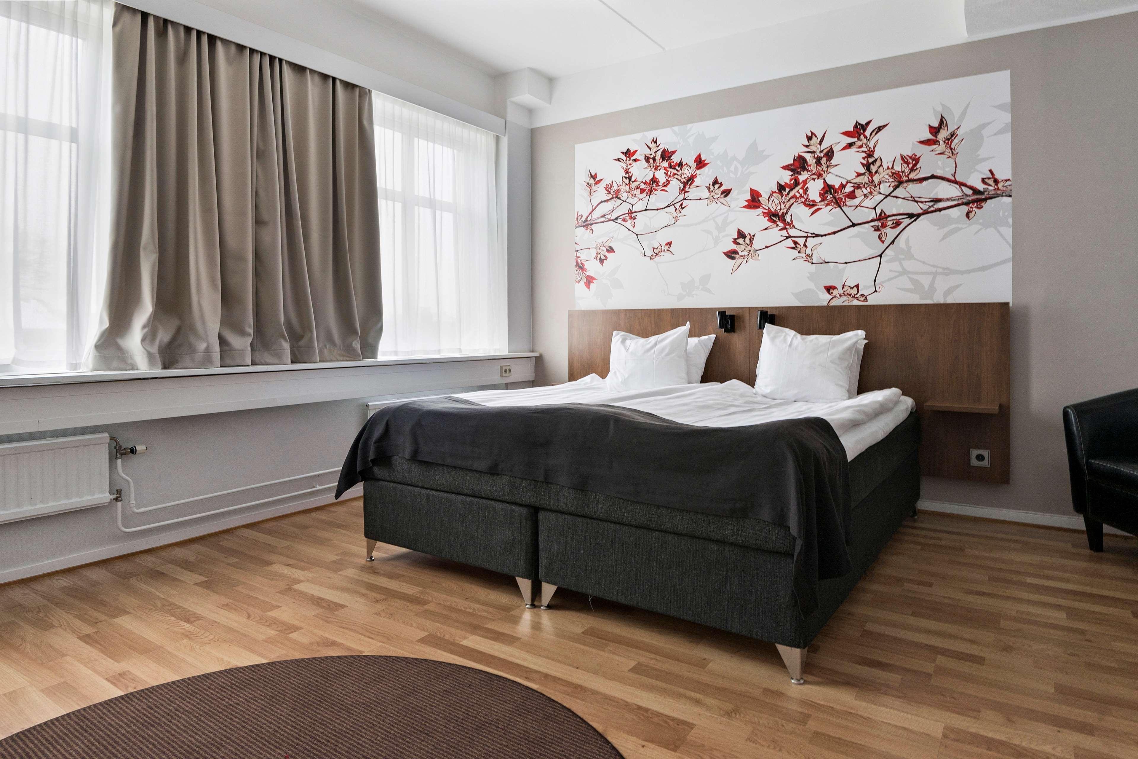 Family Room Bunk Bed