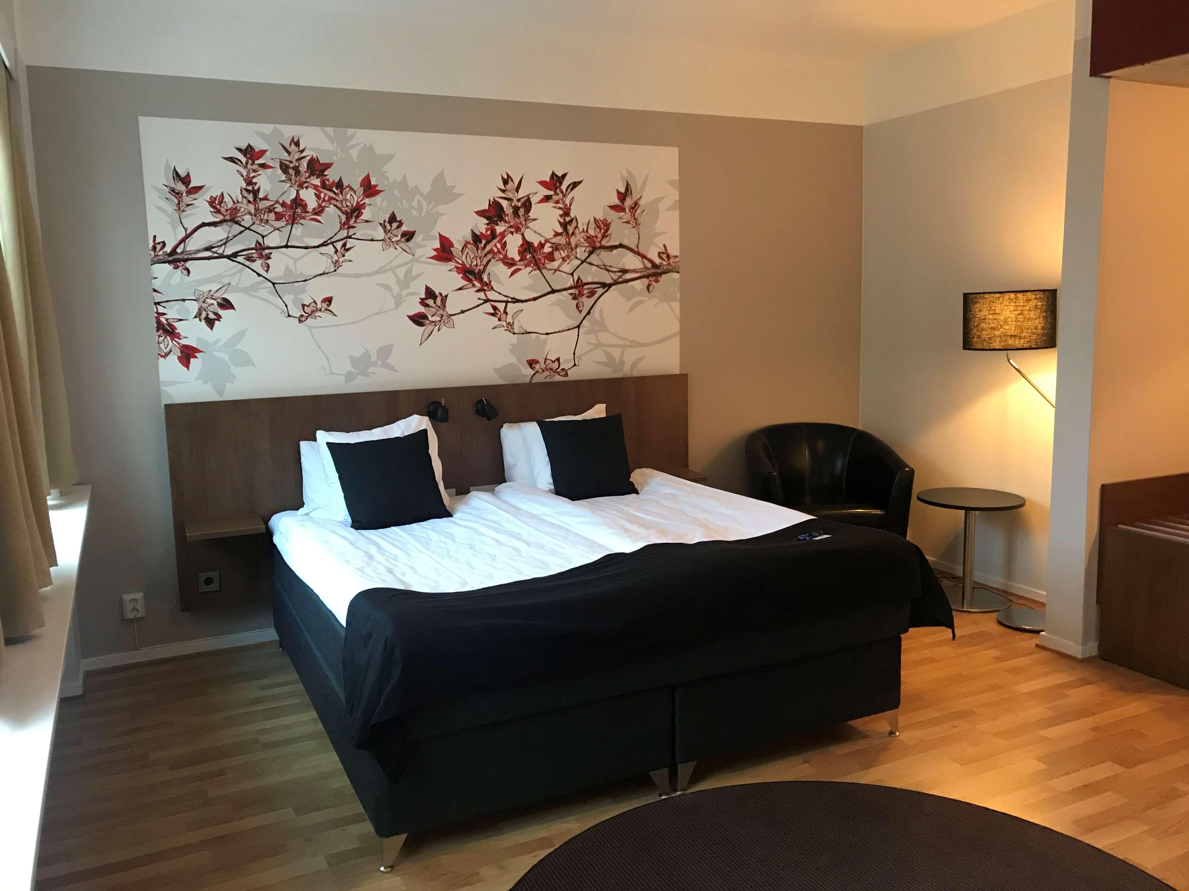 Family Room Bunk Bed