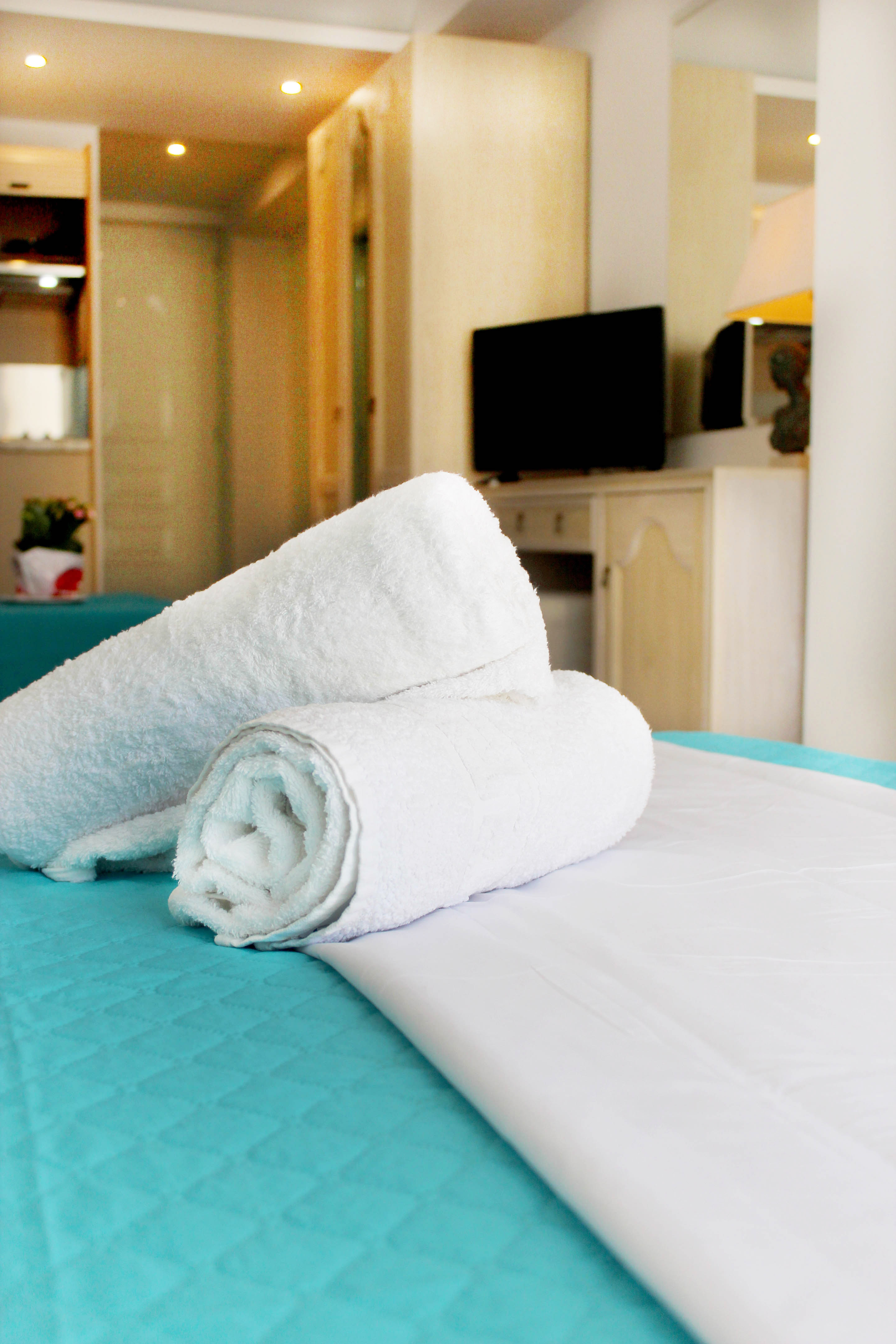 Apartment Deluxe Capacity 4