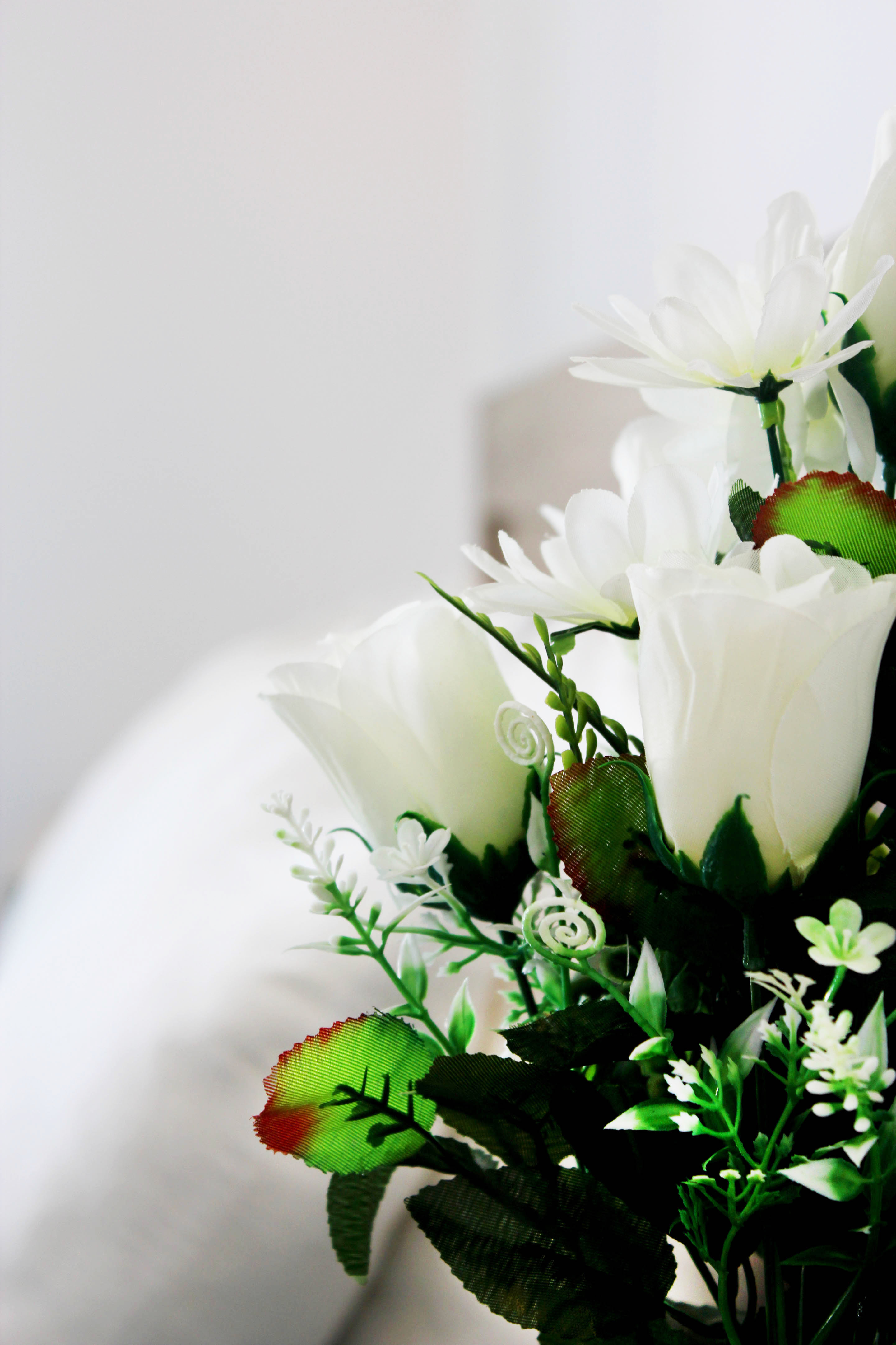 Double or Twin Deluxe