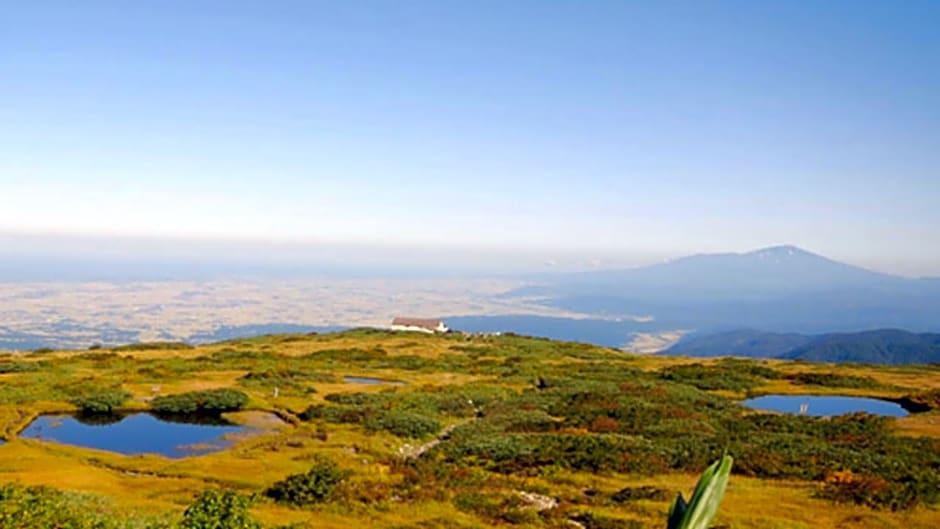 General View
