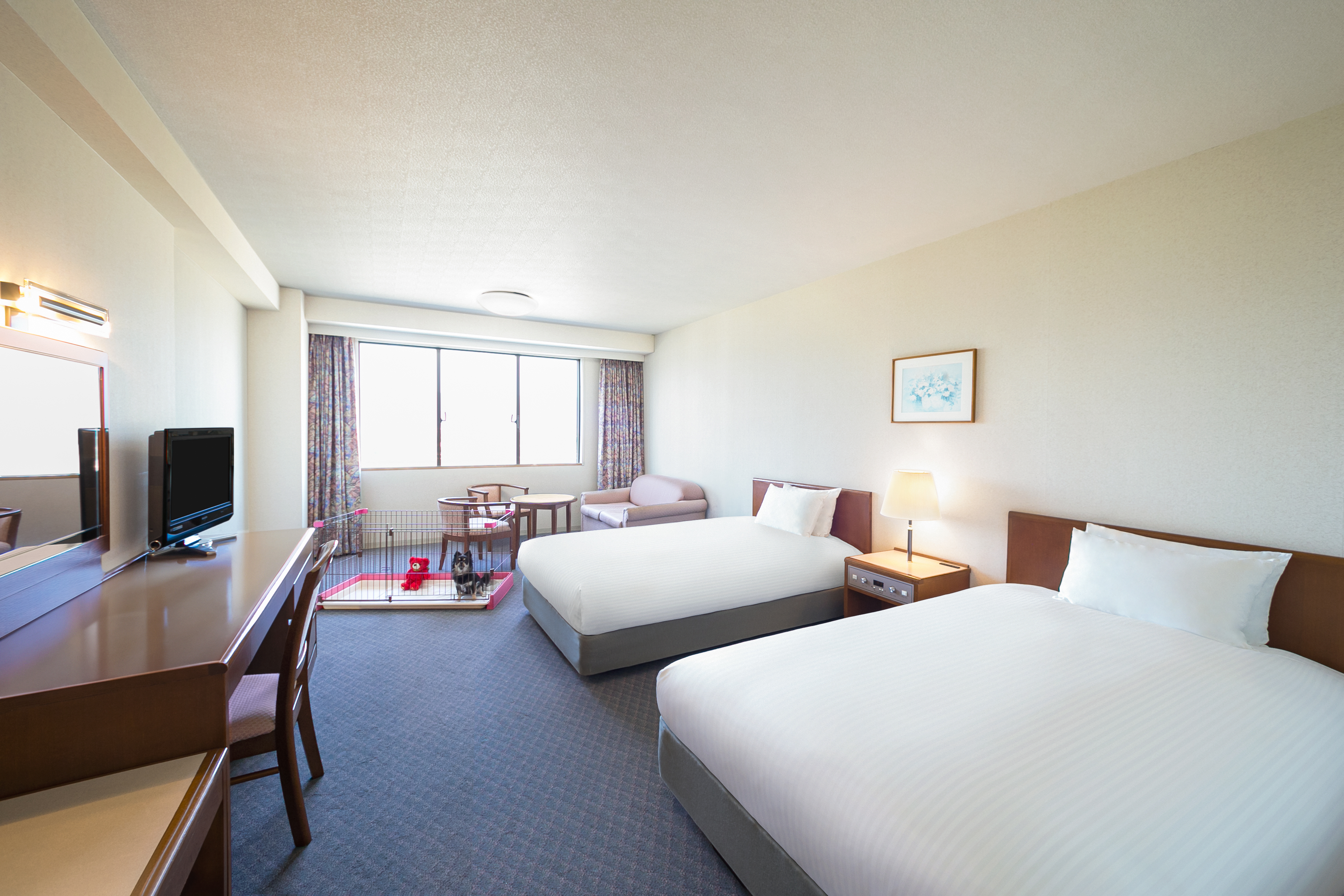 Twin Classic Mountain View