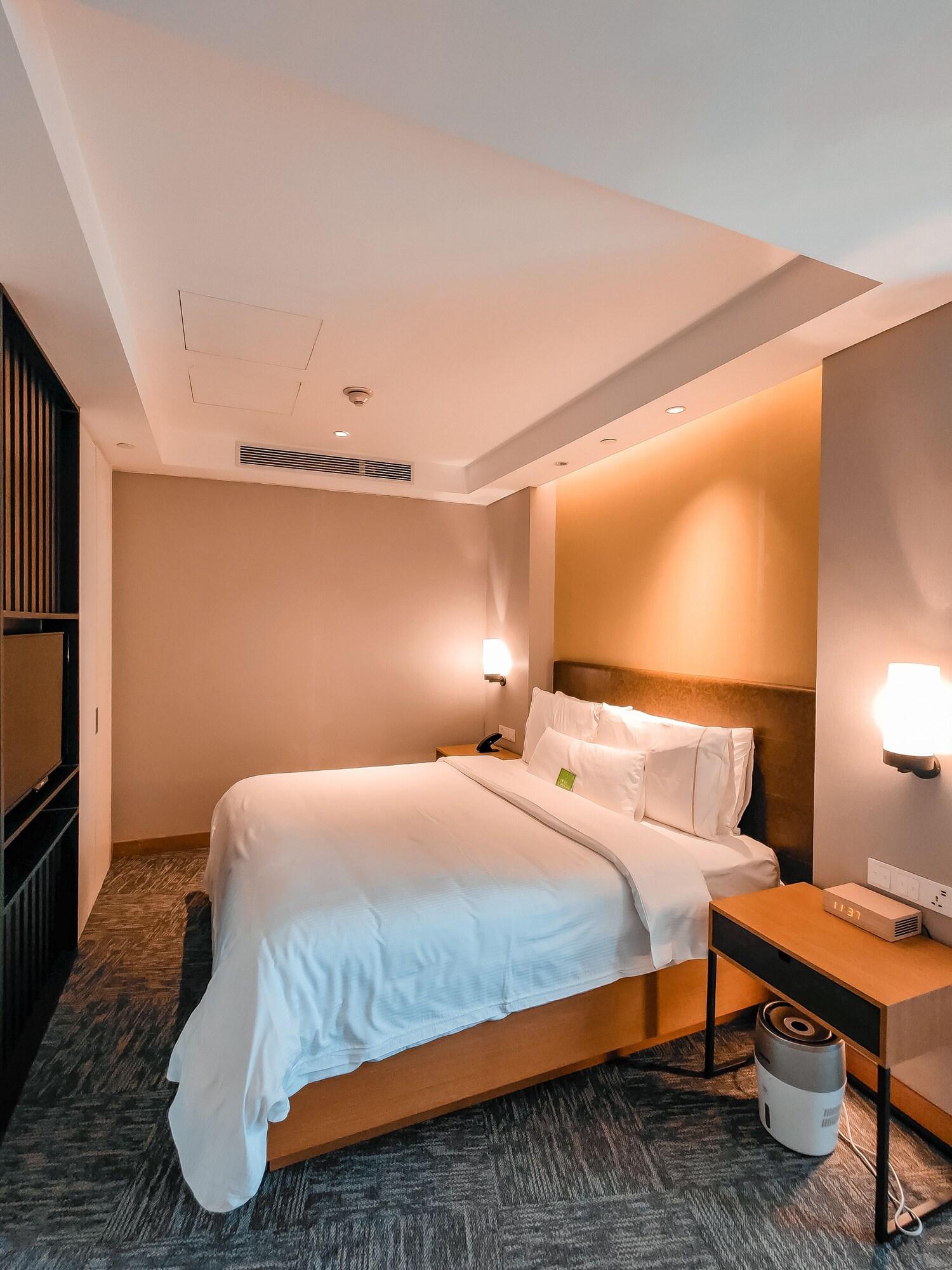 Suite King Bed One Bedroom 