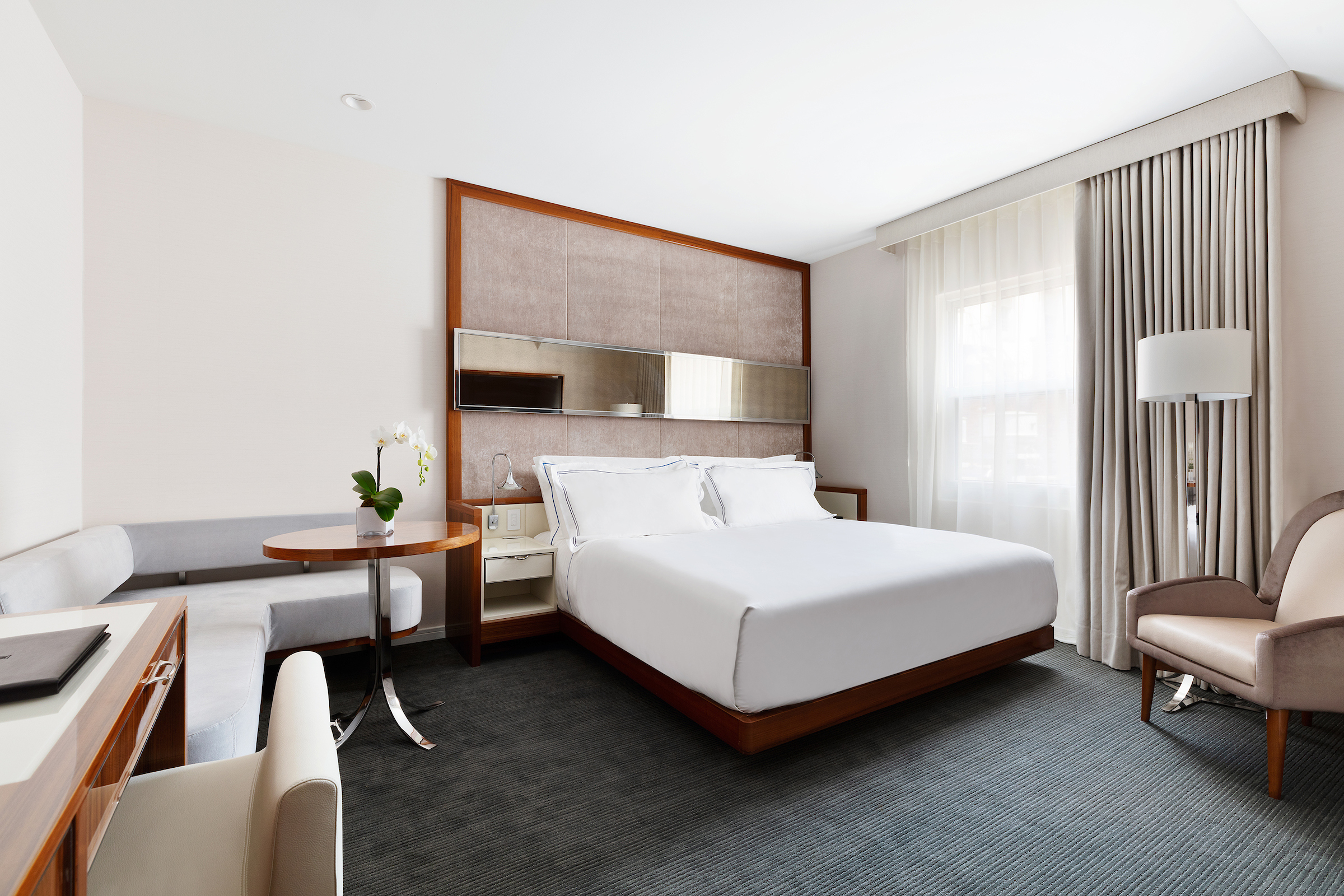 Room King Size Bed
