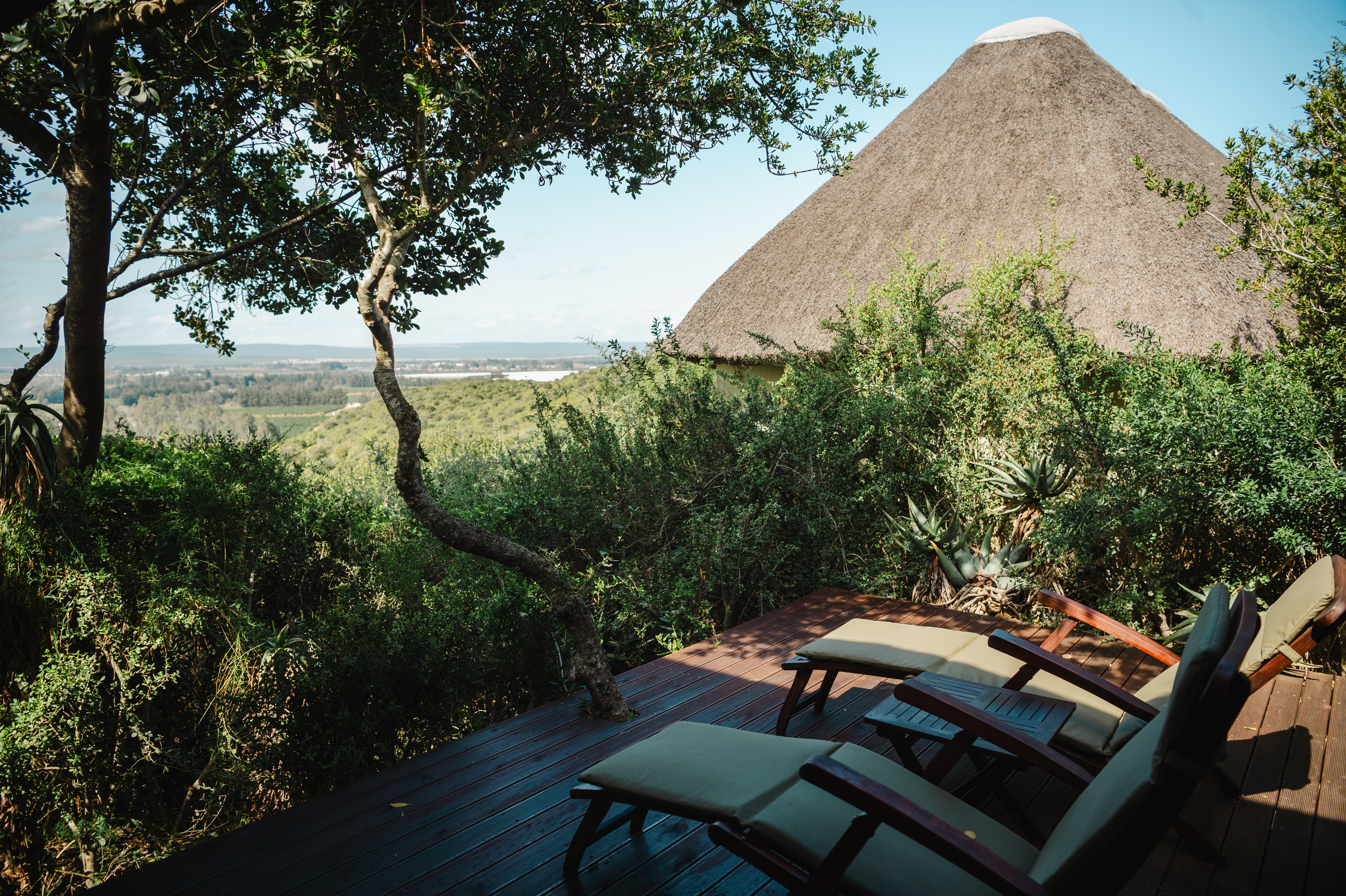 Double or Twin Superior