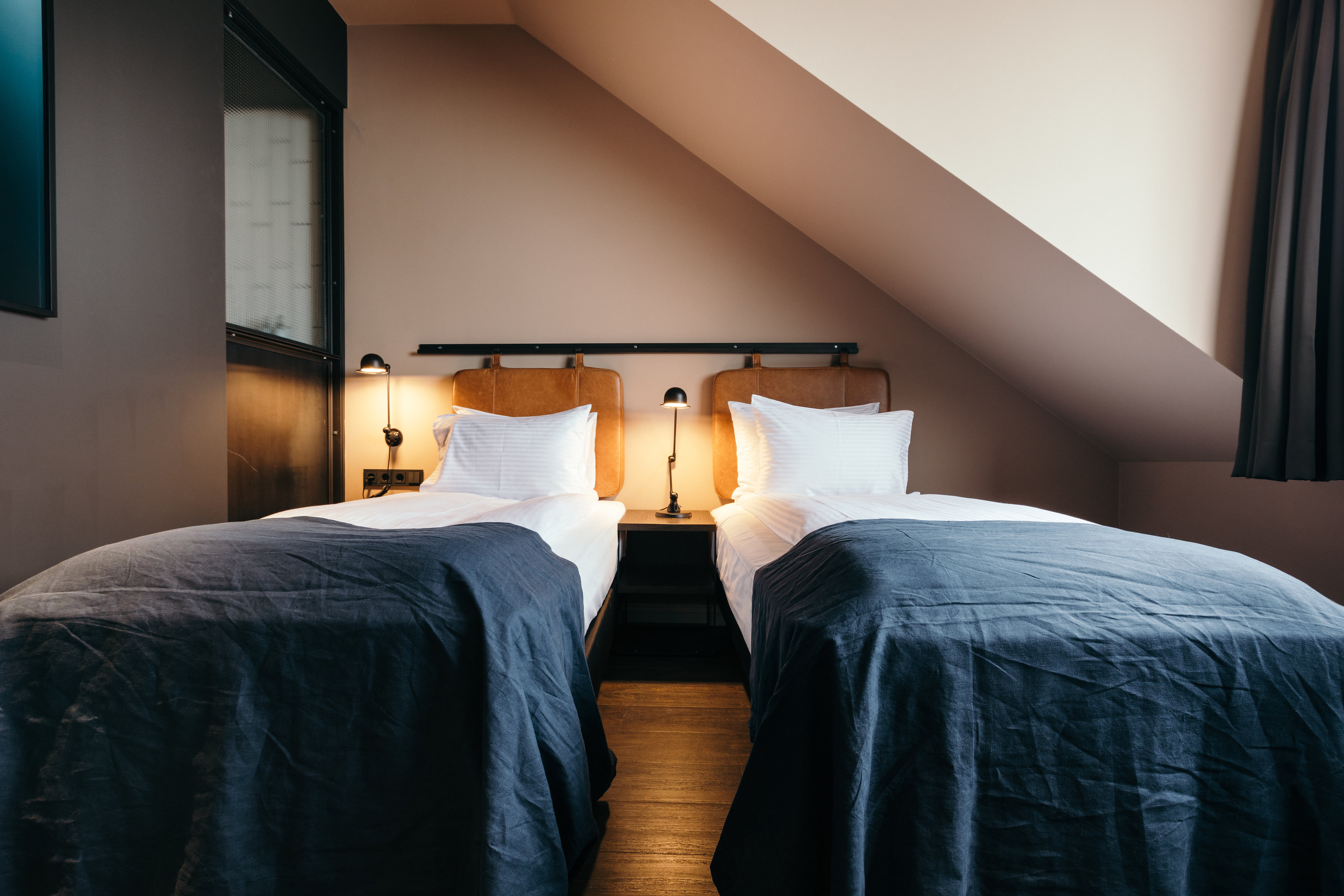 Double or Twin Economy