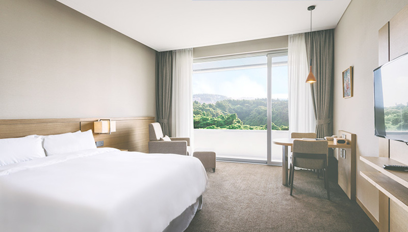 Double Deluxe with Views