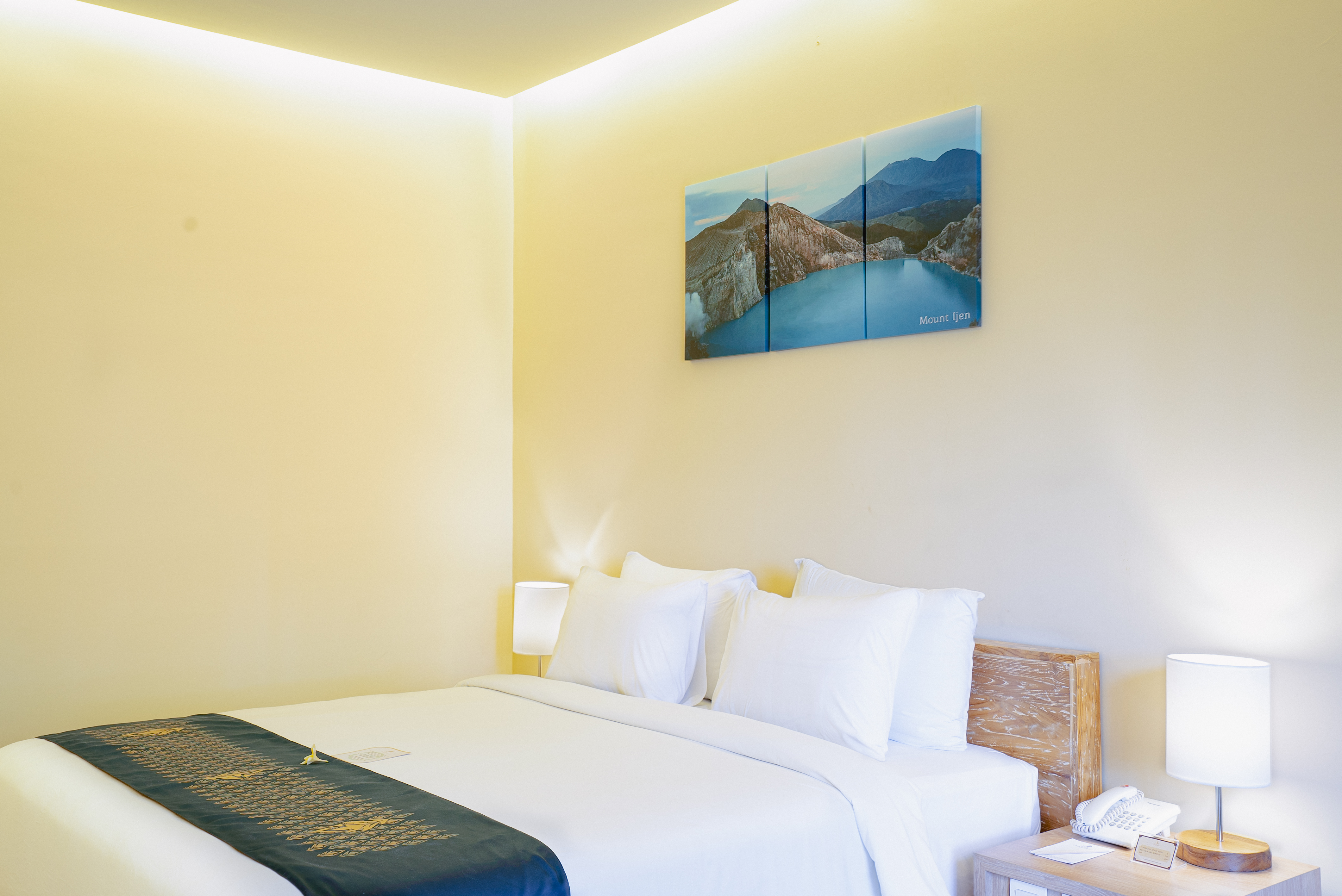 Double or Twin Executive