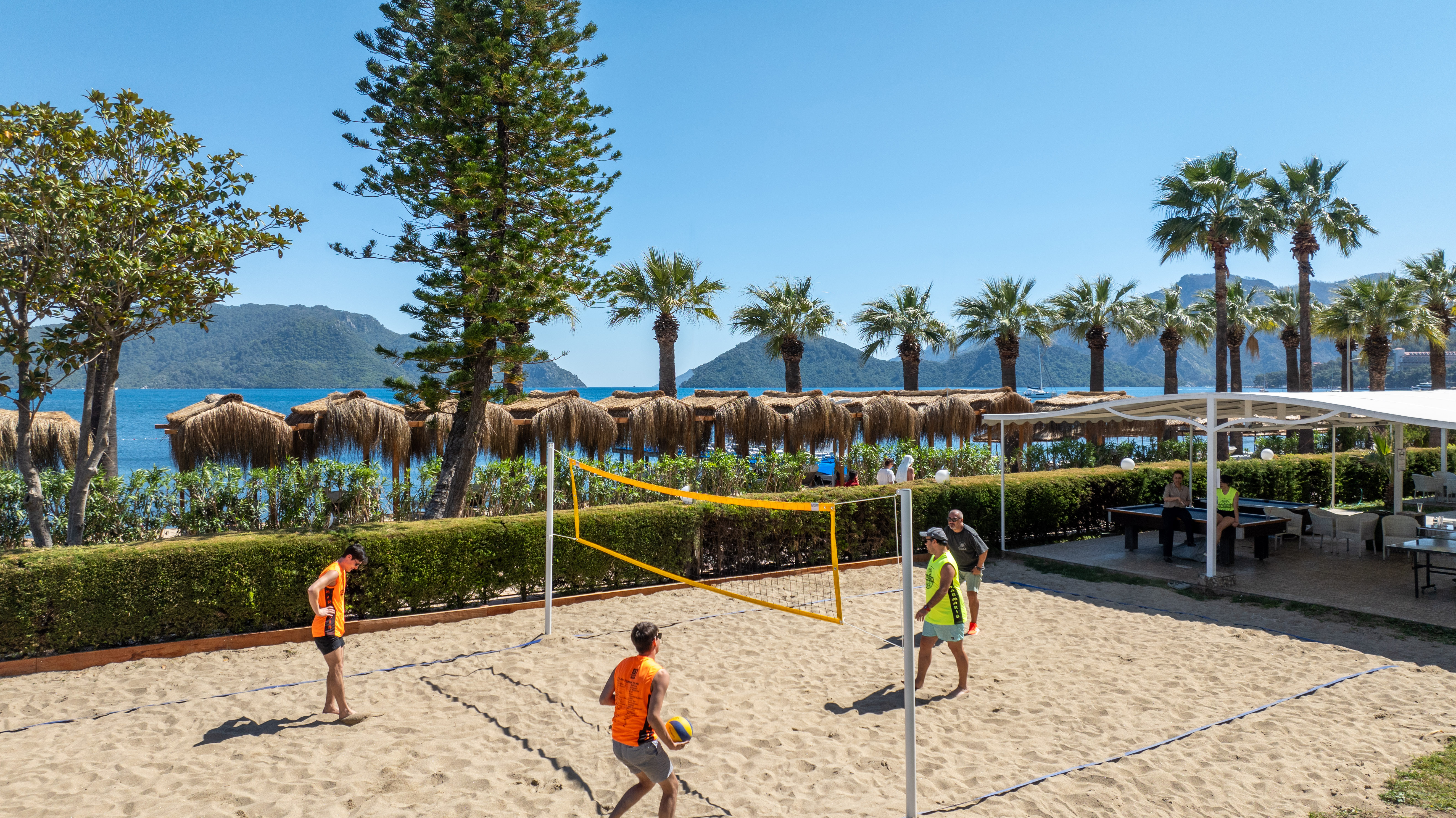 Sports and Entertainment