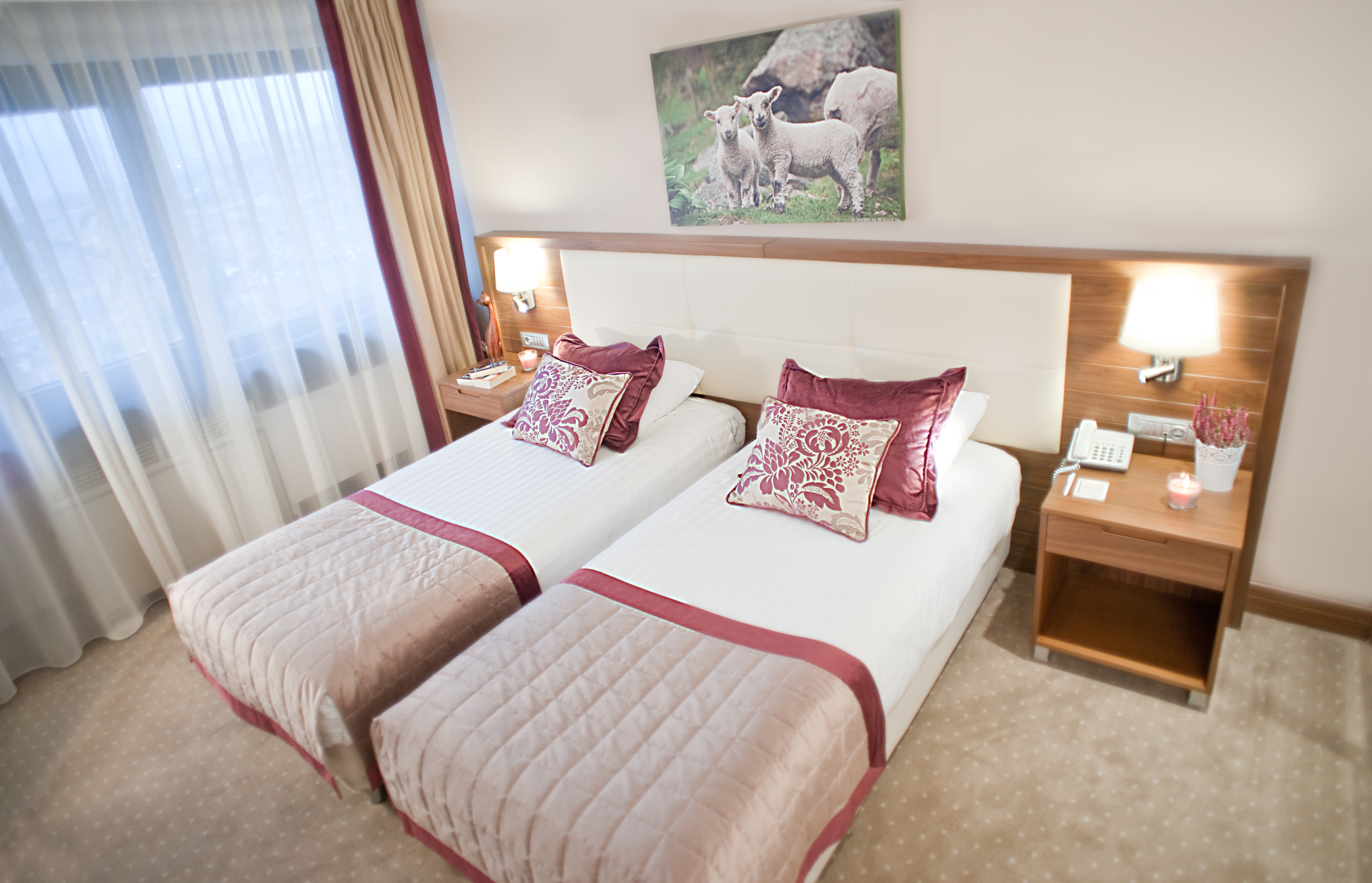 Double One Bedroom One Bathroom