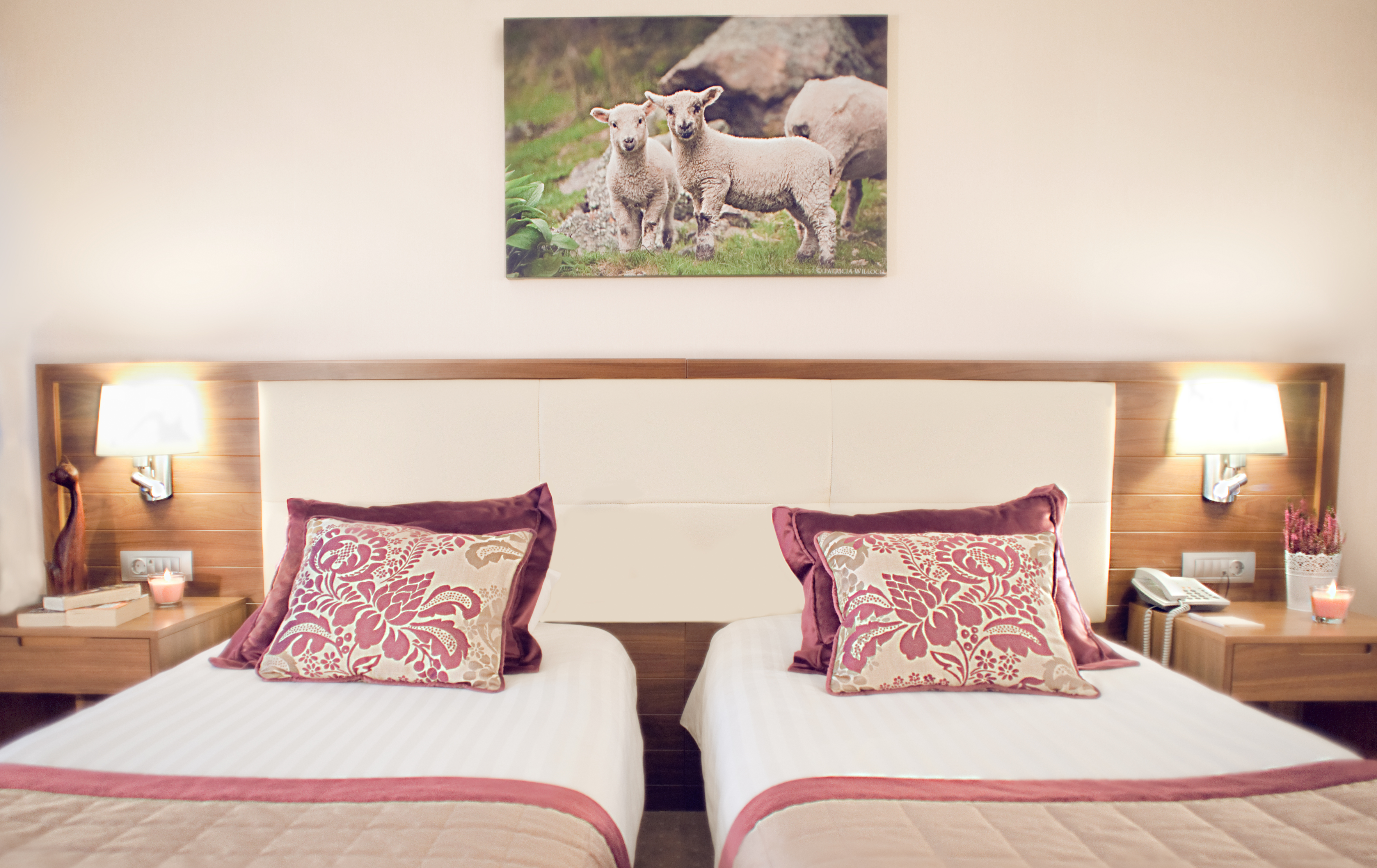 Apartment with Kitchenette