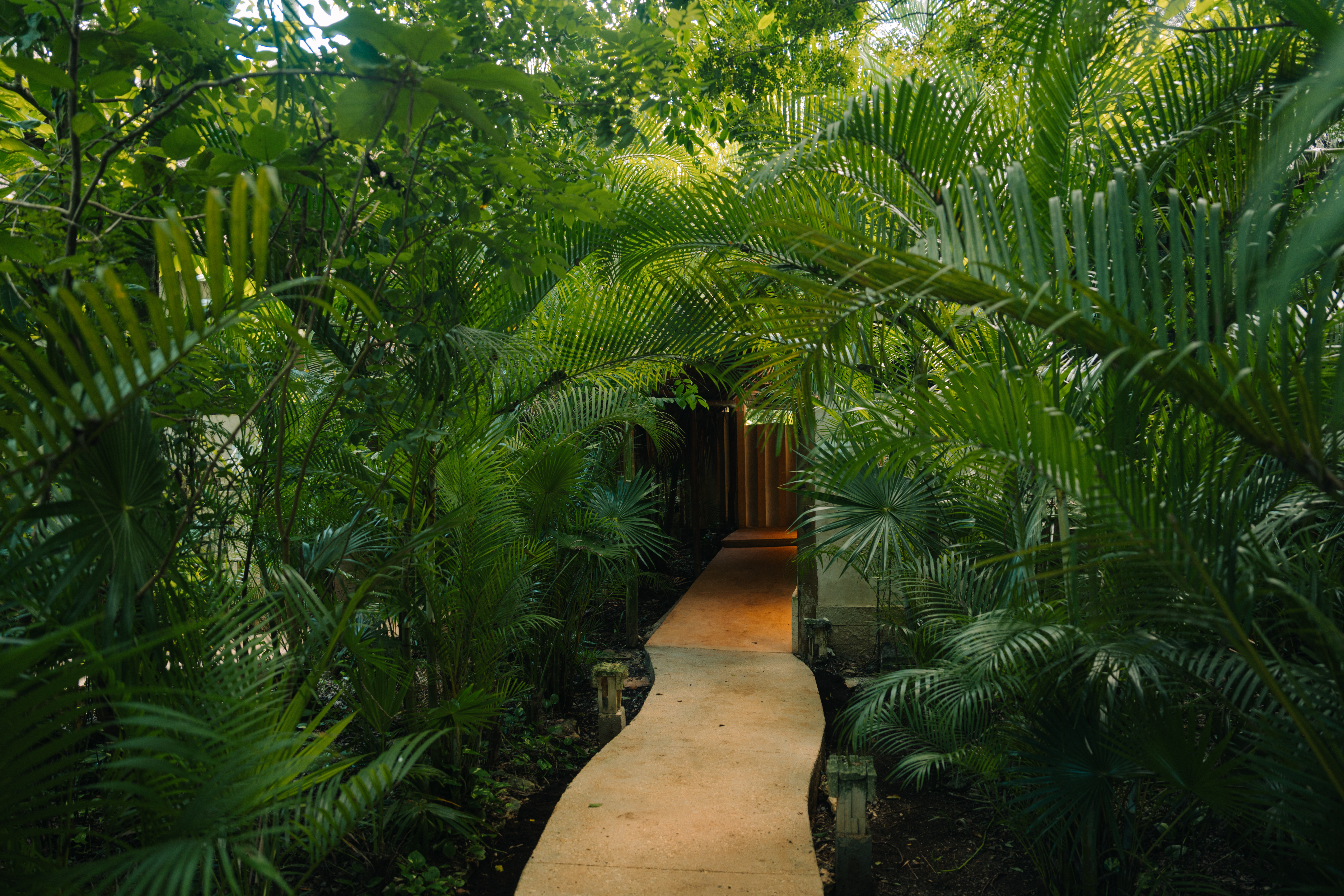 Villa Two Queen Beds