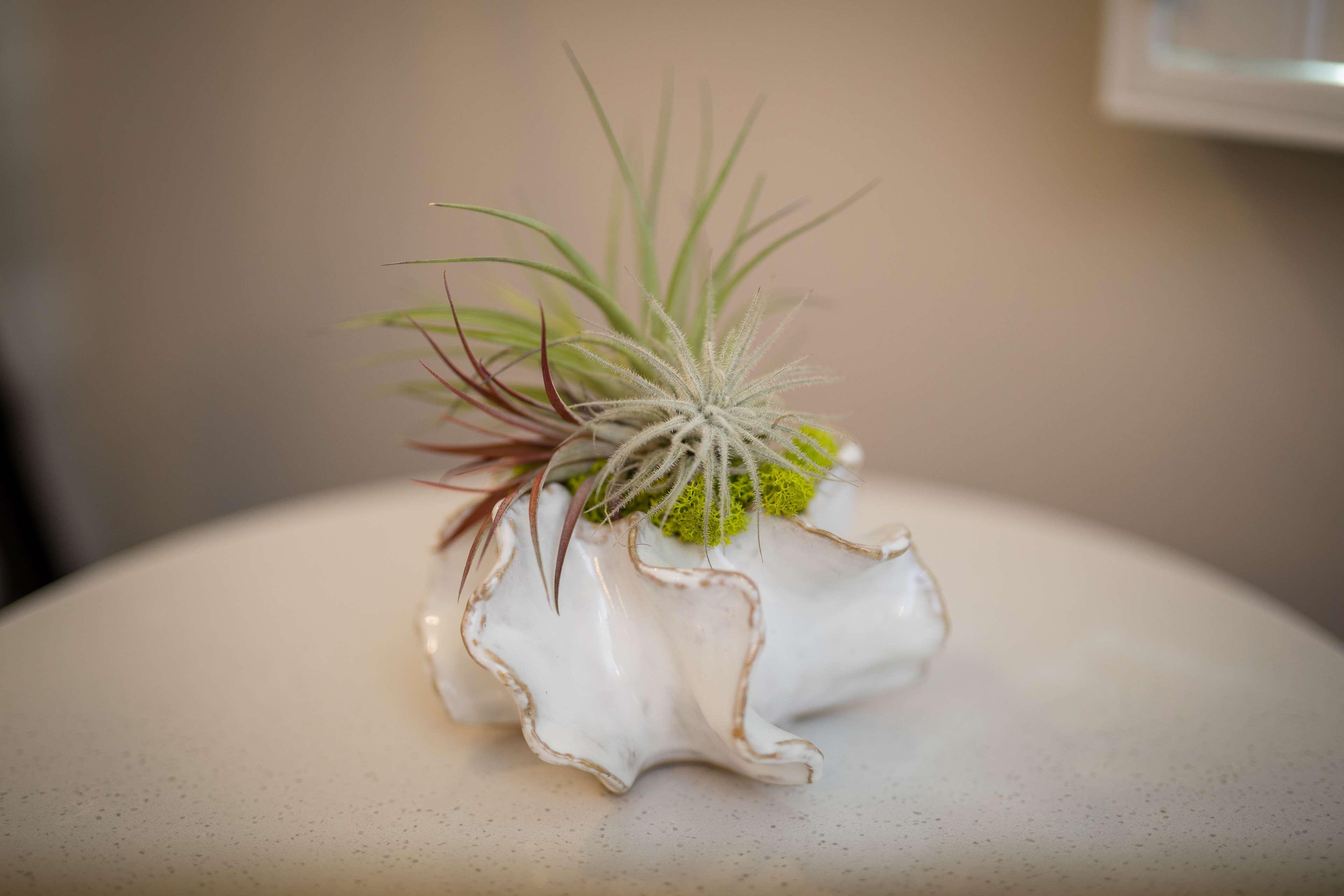 Room King Bed Non Smoking